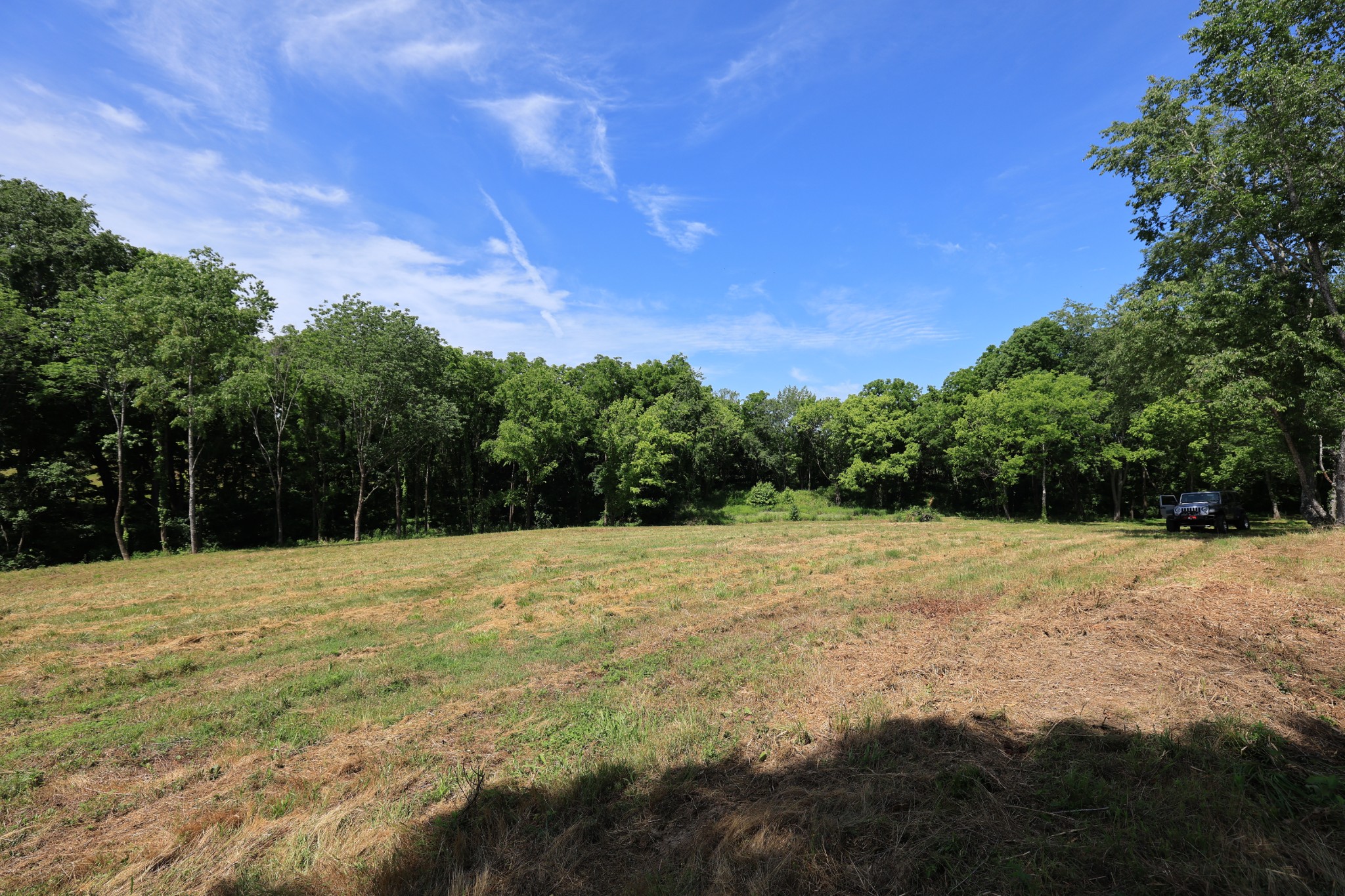 5 Poplar Ridge Ln Property Photo 31