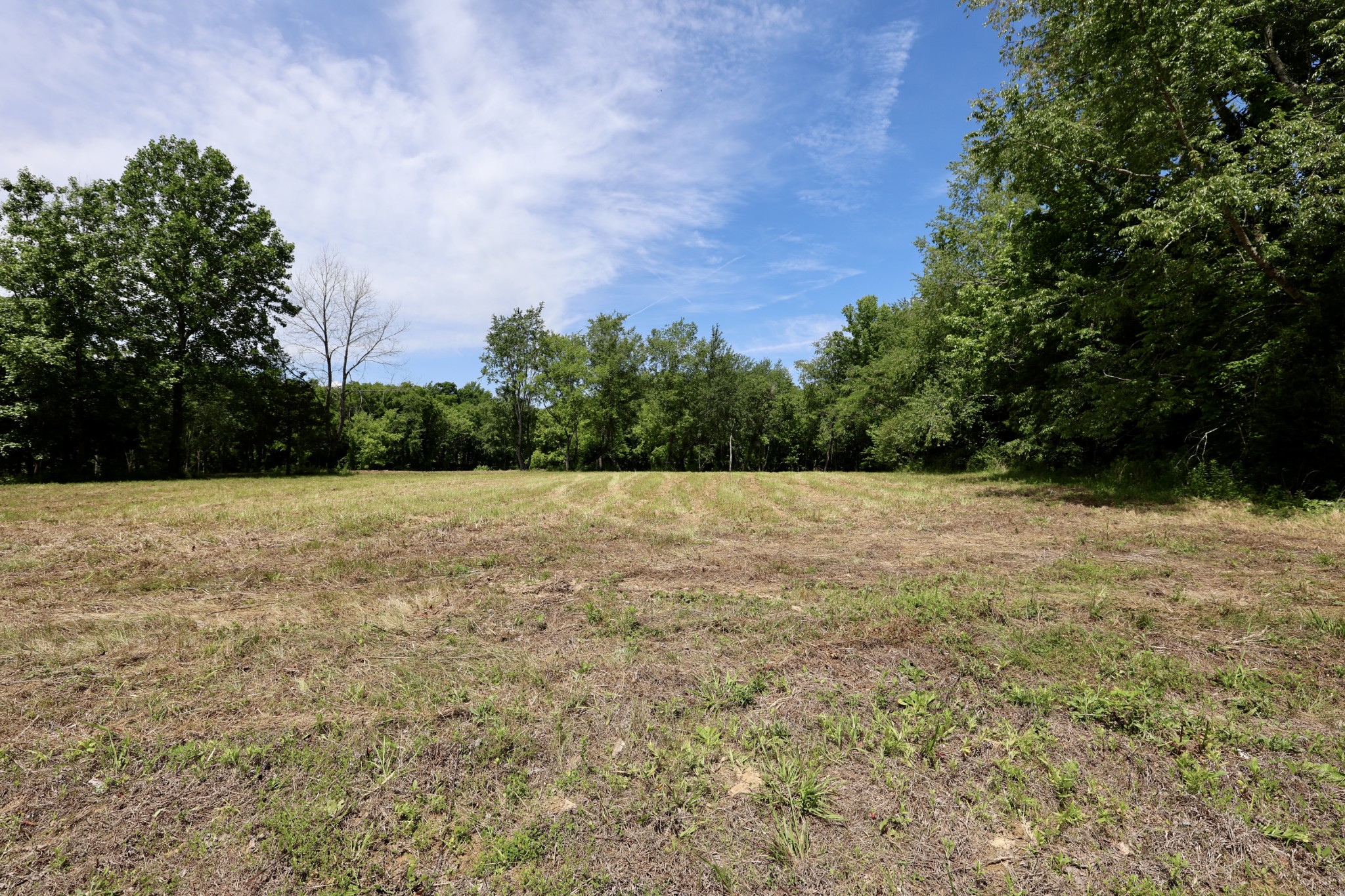 5 Poplar Ridge Ln Property Photo 33