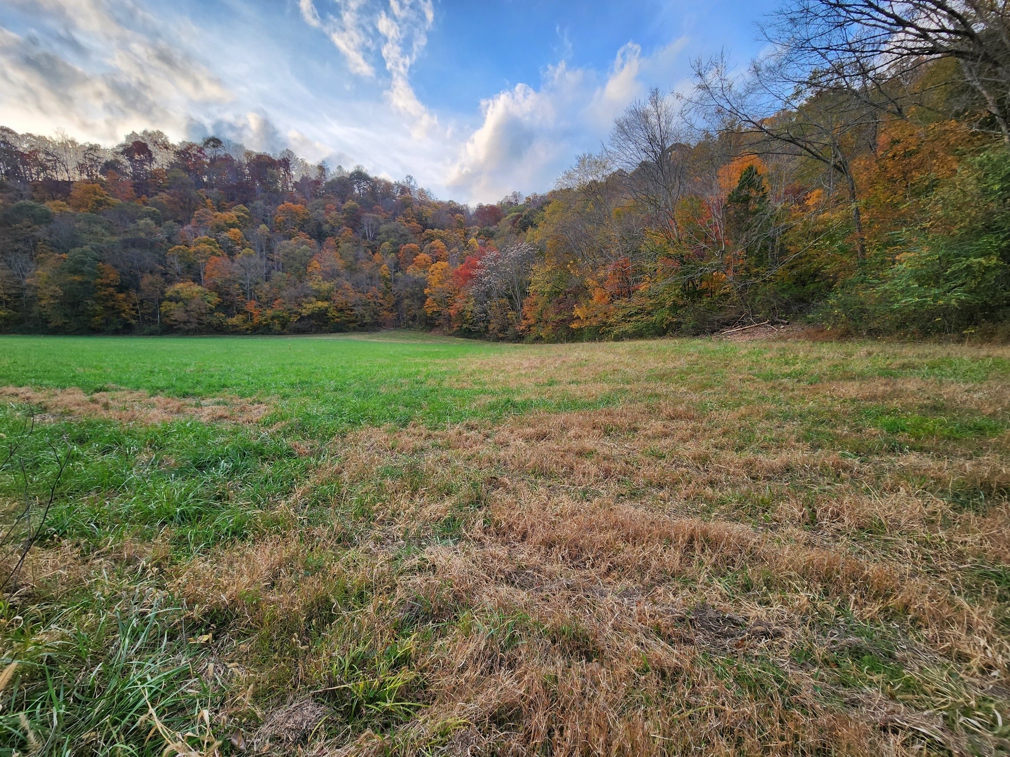 0 Pine Lick Rd