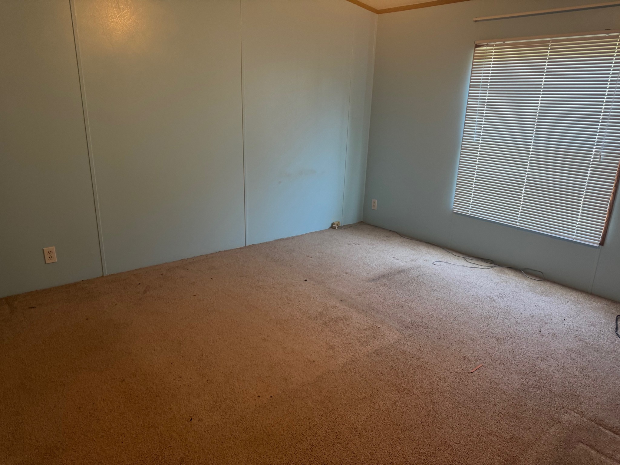 187 Dyke St, E Property Photo 11