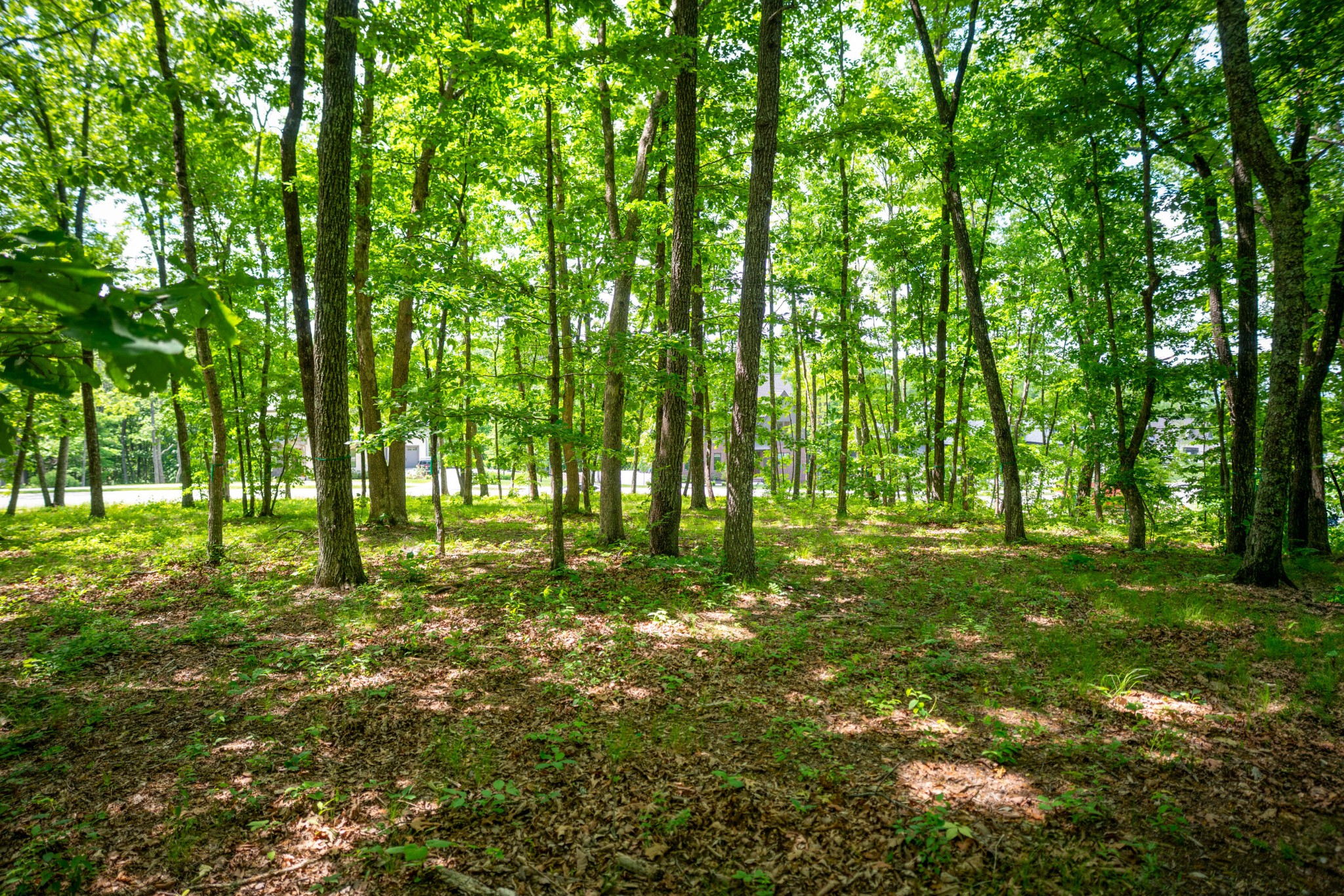 4562 Amethyst Road Property Photo 11