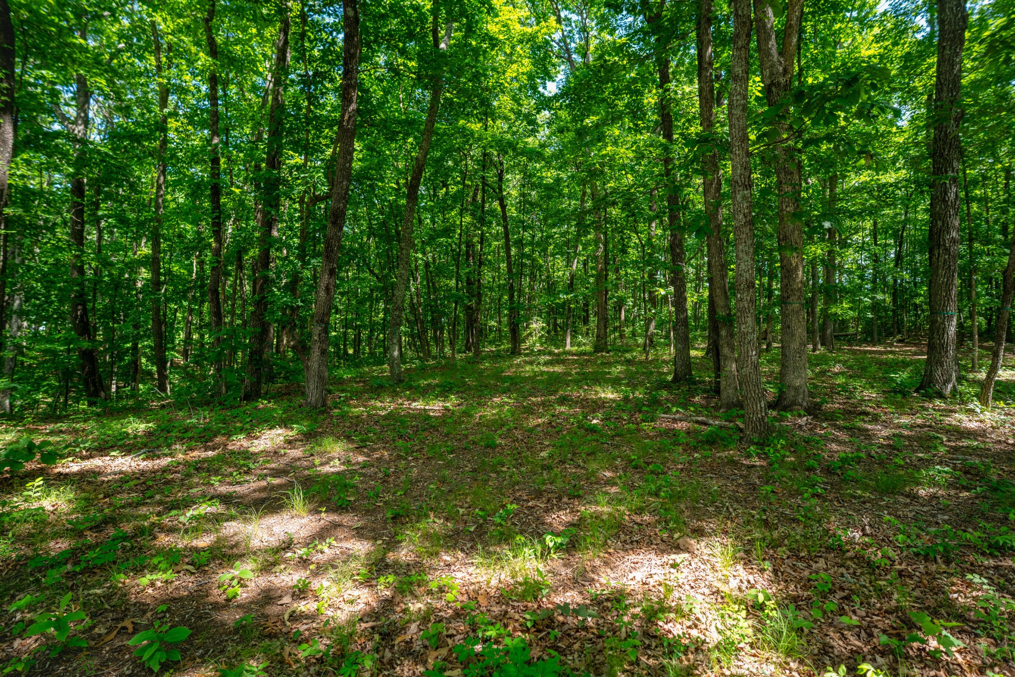 4562 Amethyst Road Property Photo 13