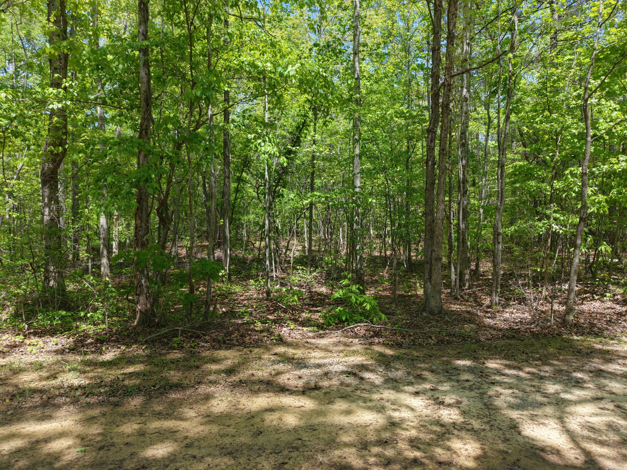 0 Jim Black Drive Property Photo 1