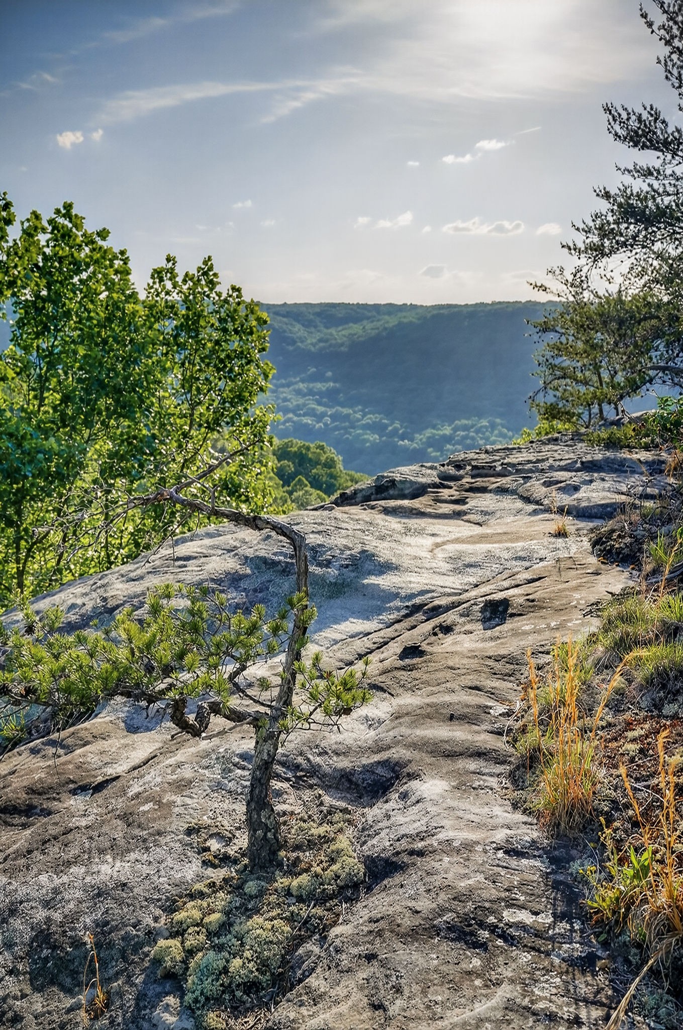 275 Buckeye Ln Property Photo 49