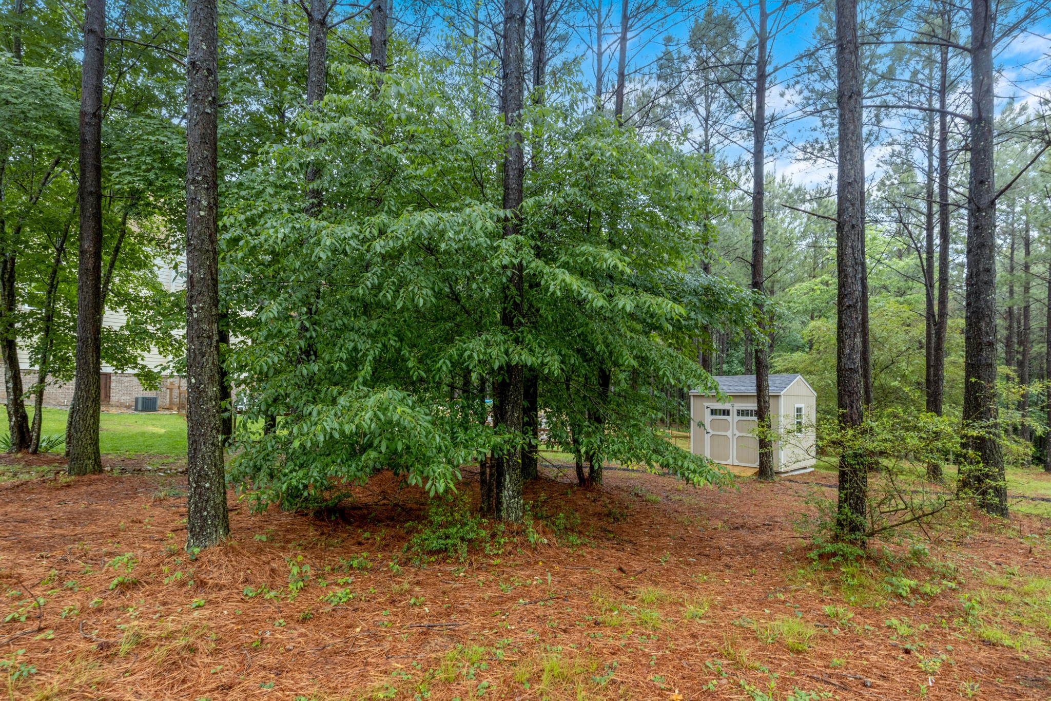 2485 River Bluffs Drive Property Photo 61