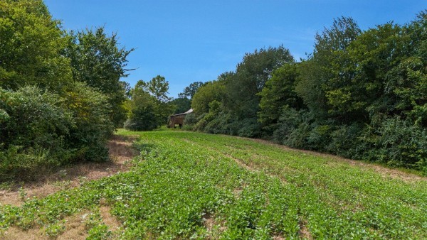 4664 New Cut Rd Property Photo 75