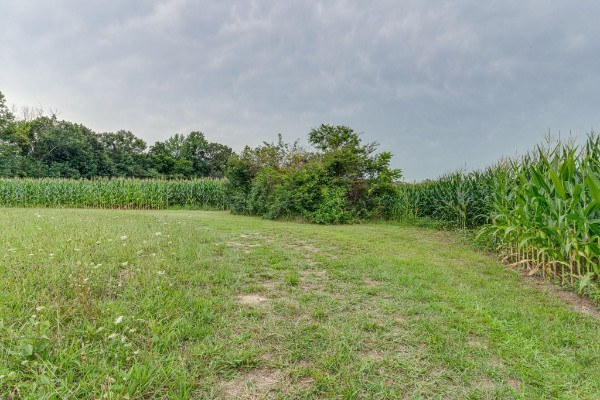 4664 New Cut Rd Property Photo 85