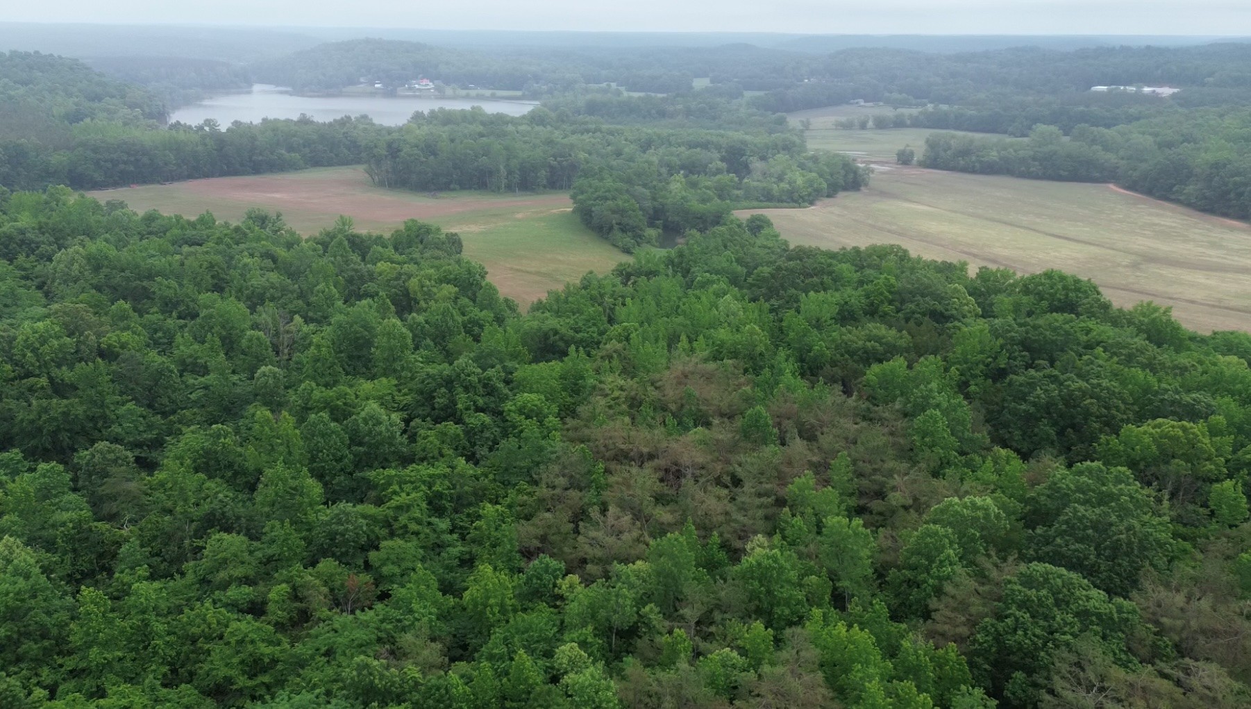 510 Lost Creek Farm Dr Property Photo 1