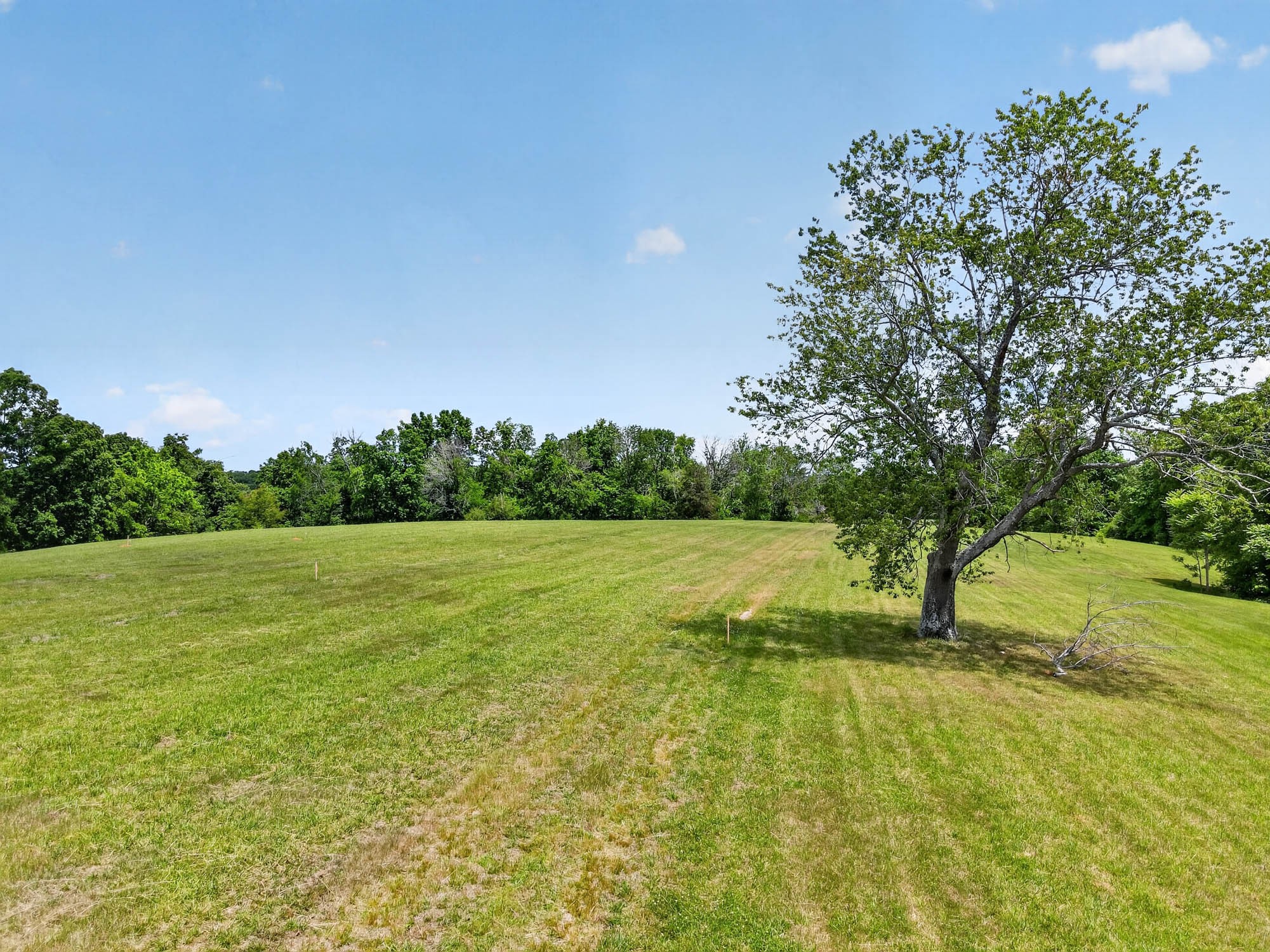 7393 S Harpeth Rd Property Photo 6