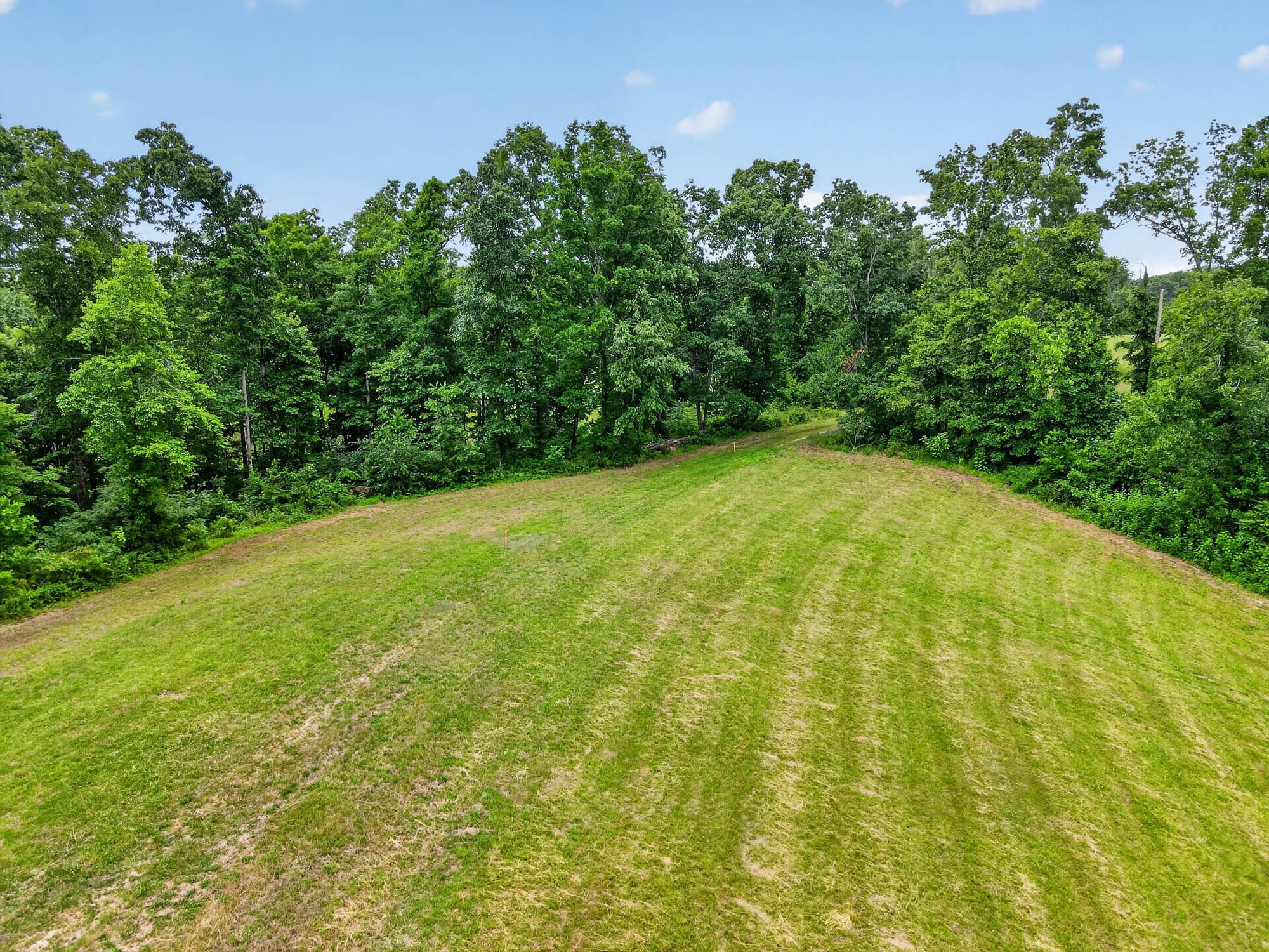 7393 S Harpeth Rd Property Photo 9