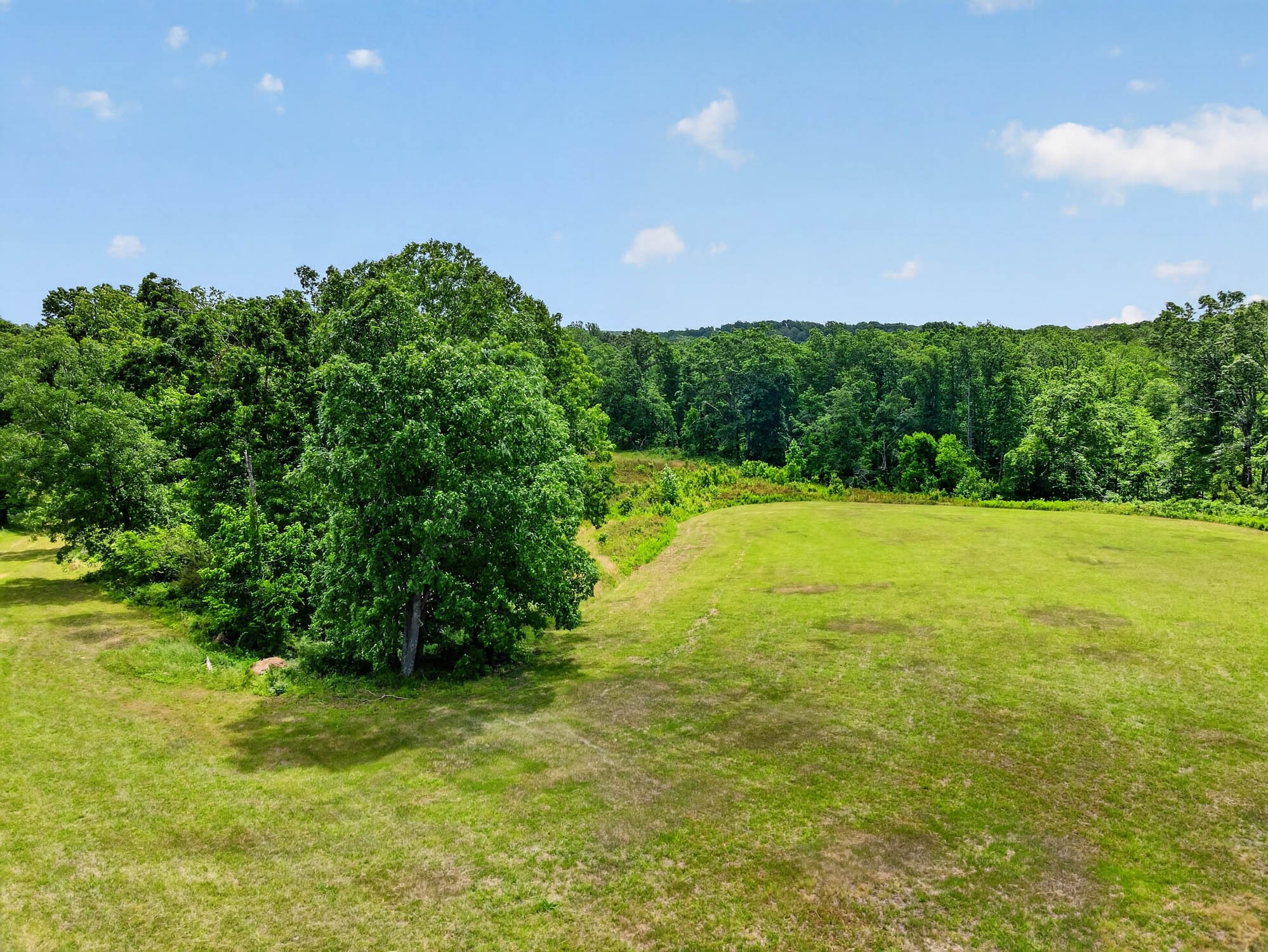 7393 S Harpeth Rd Property Photo 14