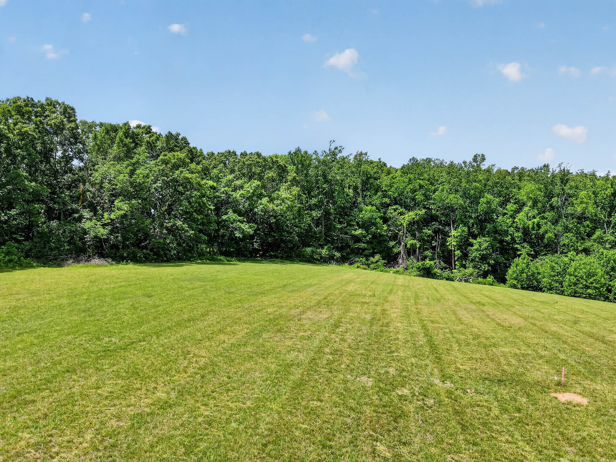 7393 S Harpeth Rd Property Photo 16