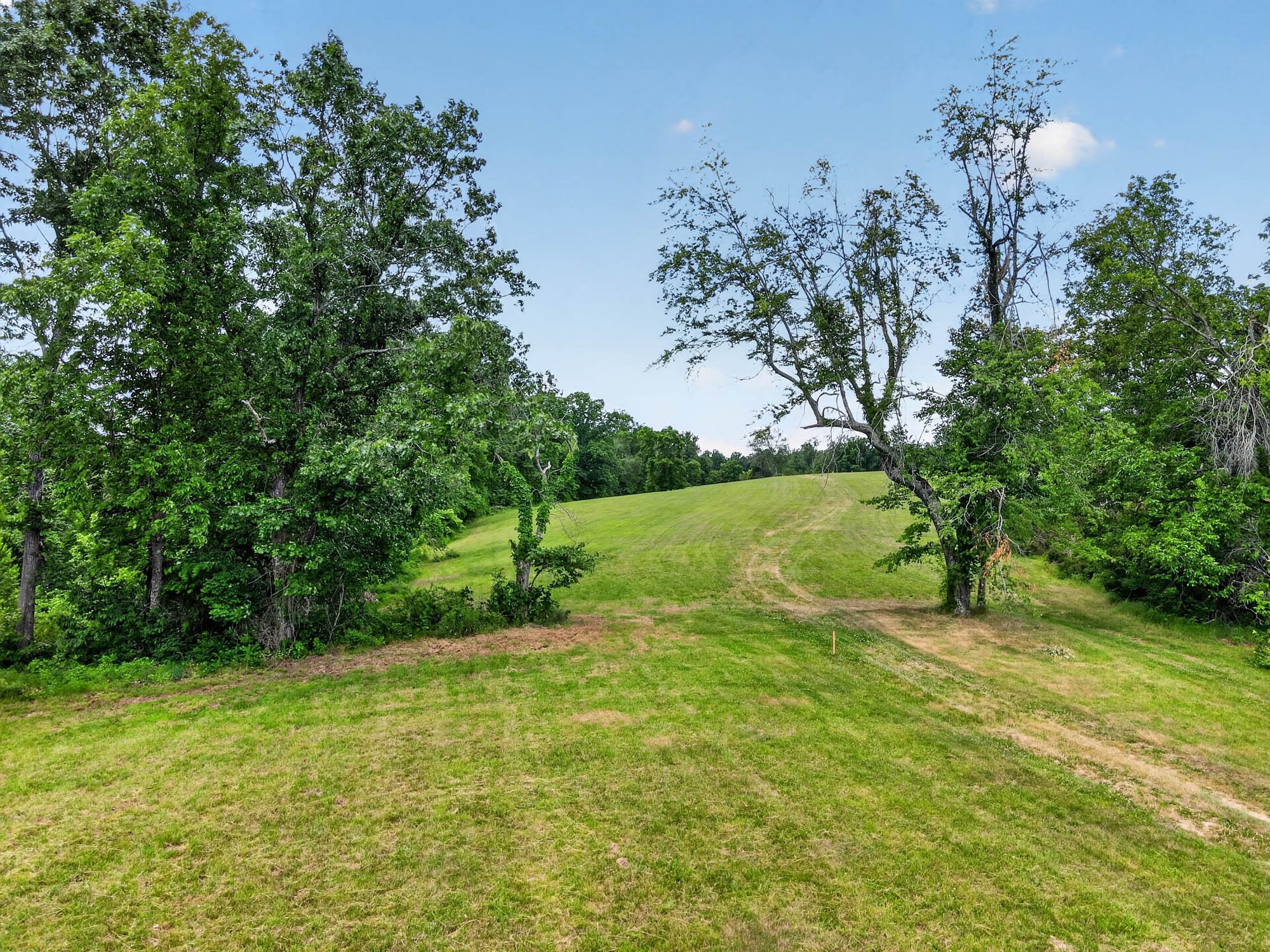 7393 S Harpeth Rd Property Photo 23