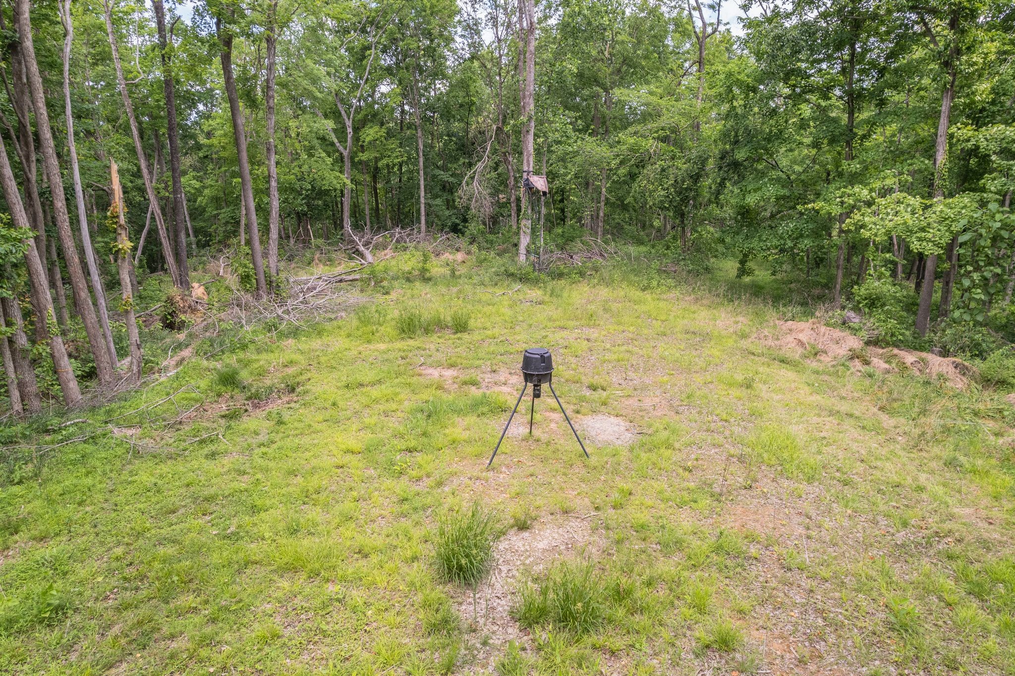 0 Rbk Property Photo 4