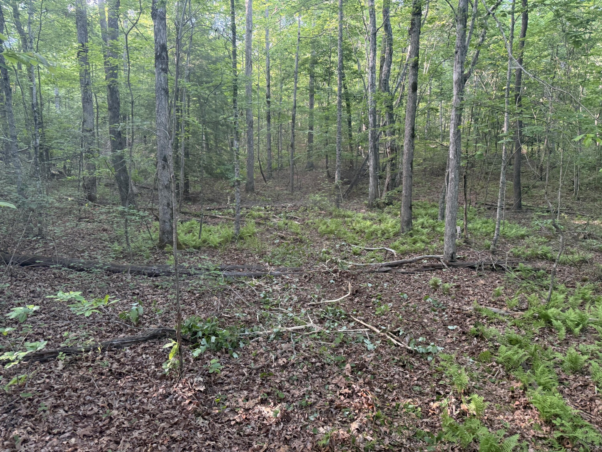 1672 Besstown Road Property Photo 1