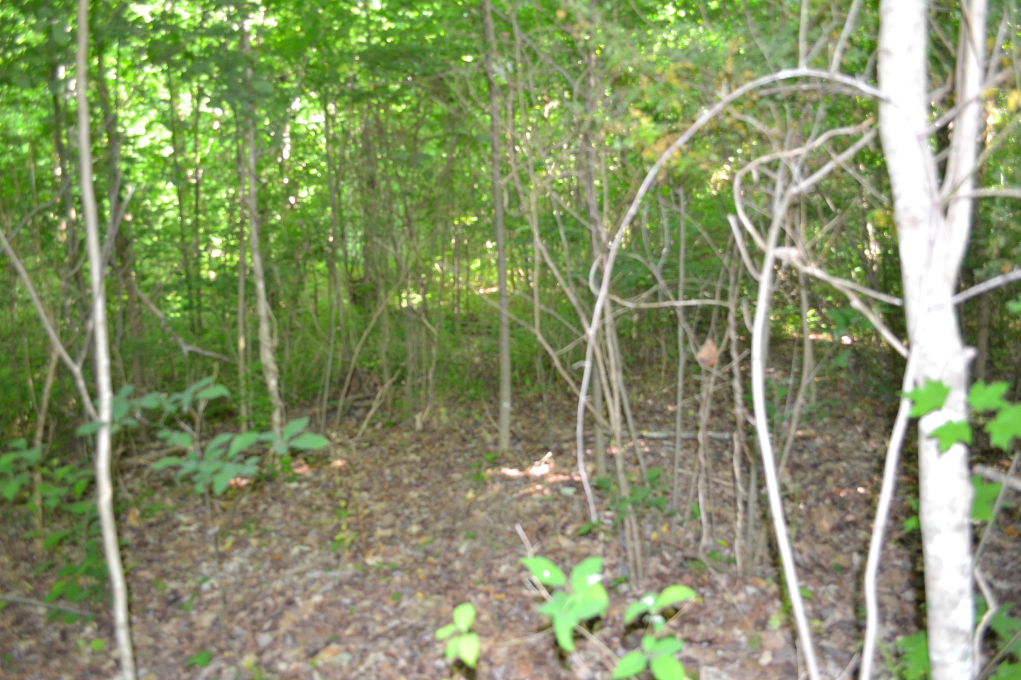 0 Dynamite Ln Property Photo 1
