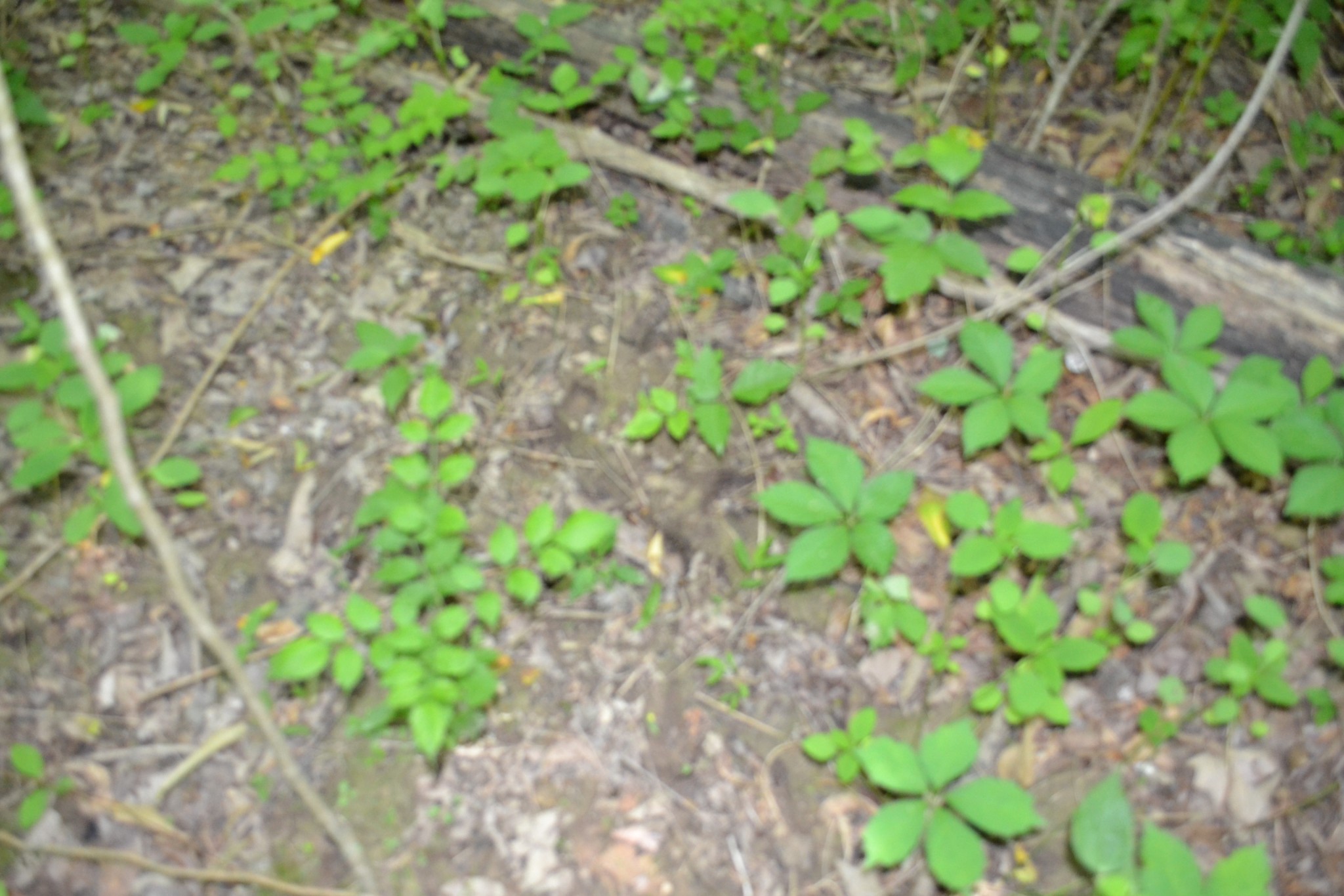 0 Dynamite Ln Property Photo 9