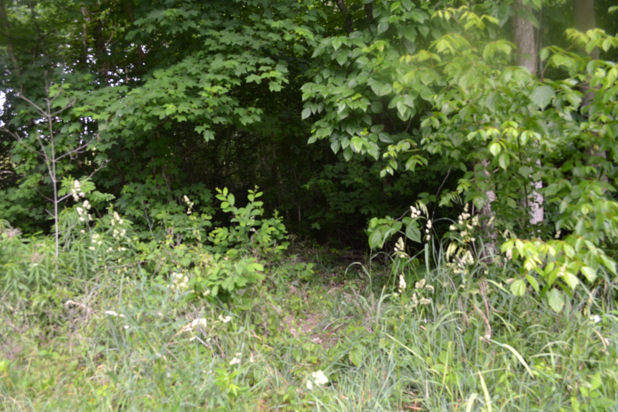 0 Dynamite Ln Property Photo 20