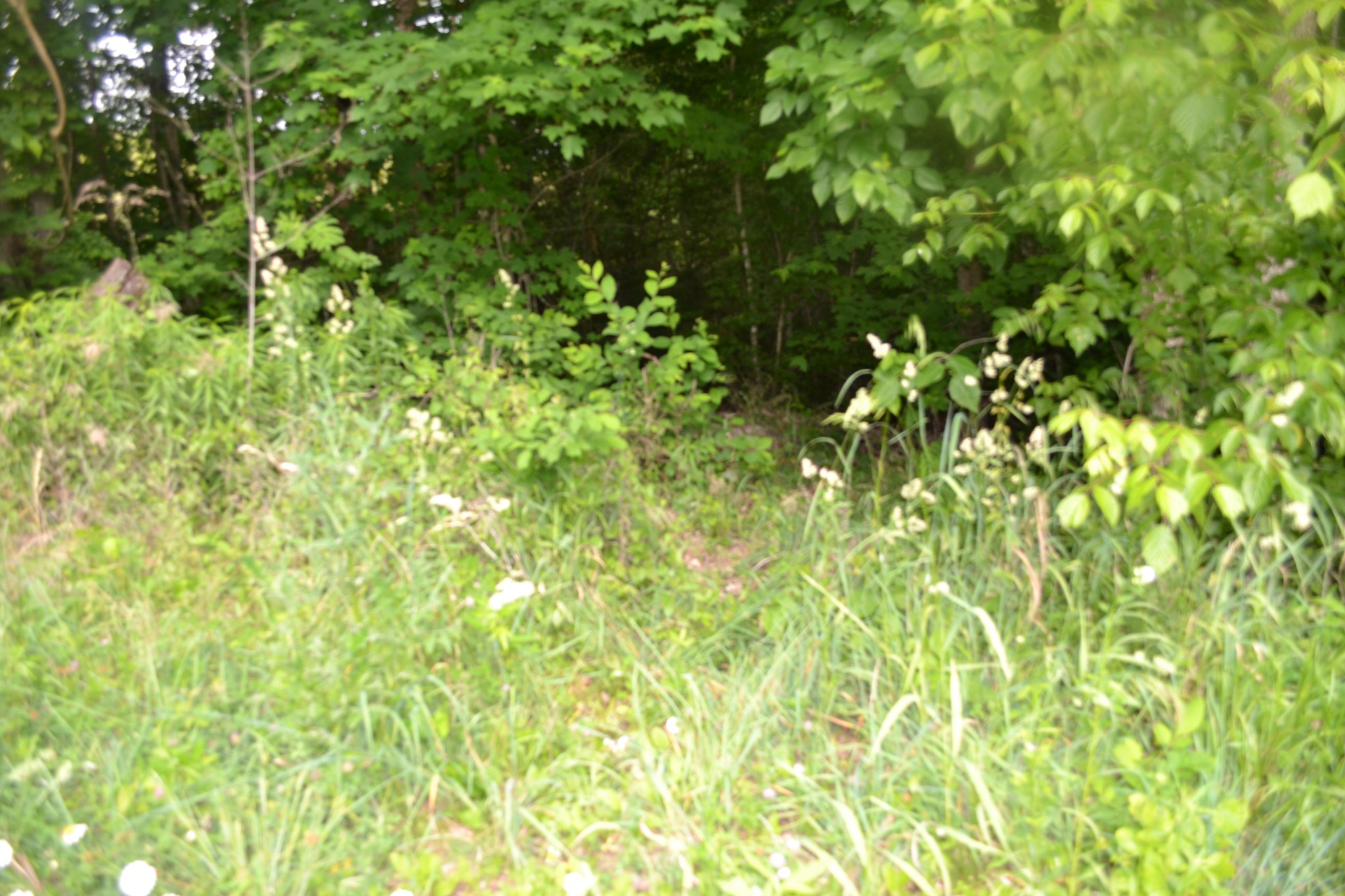 0 Dynamite Ln Property Photo 21