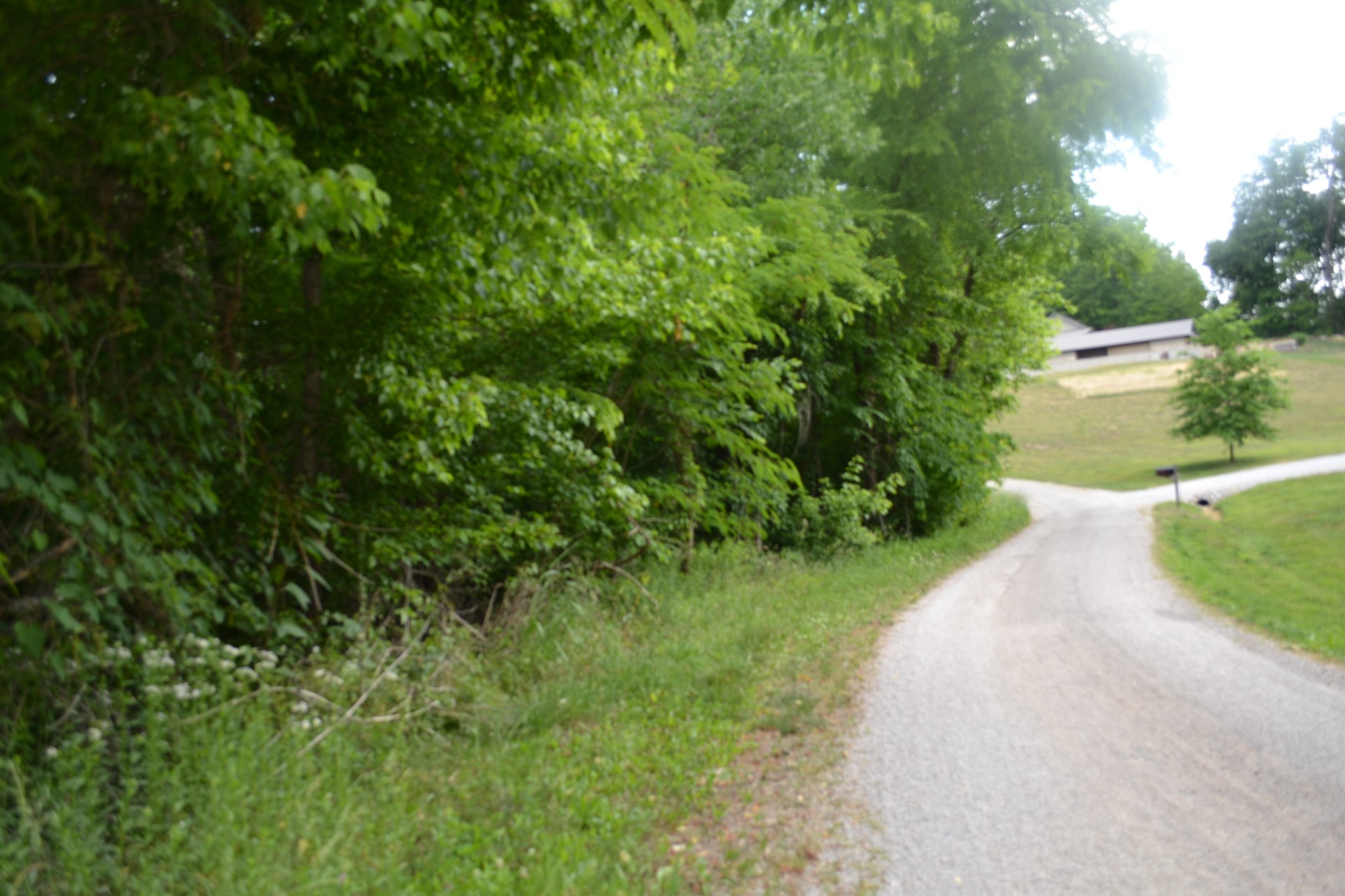 0 Dynamite Ln Property Photo 22