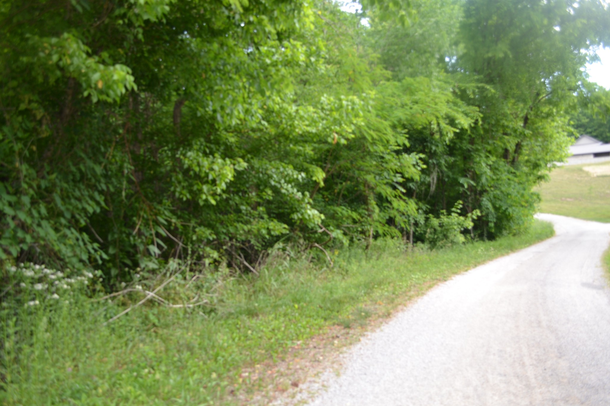 0 Dynamite Ln Property Photo 26