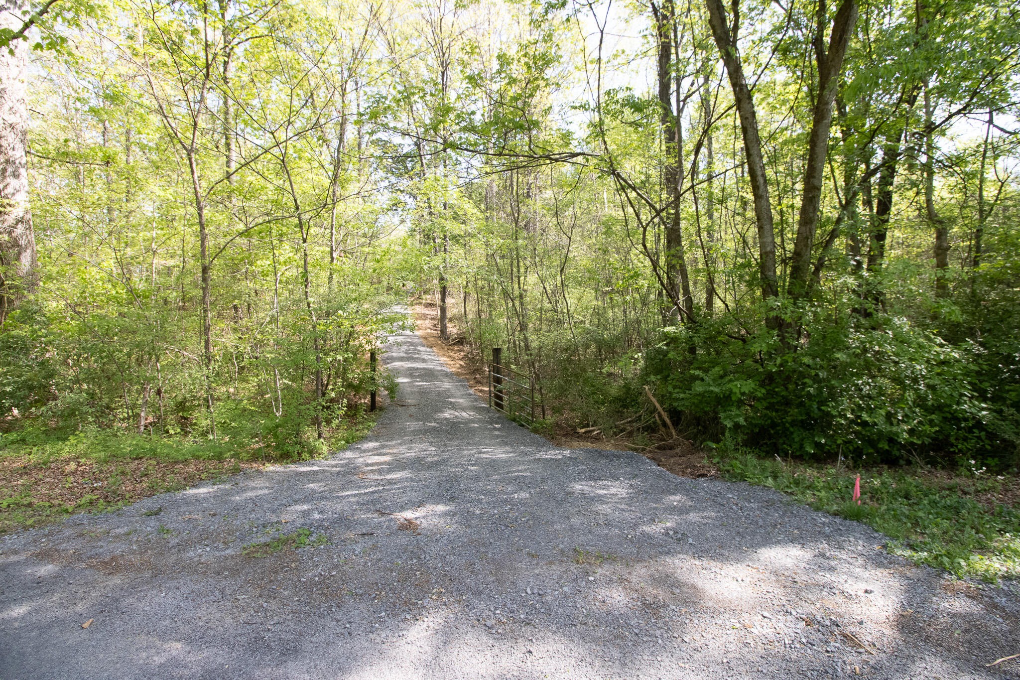 0 County Road 860 Property Photo 1