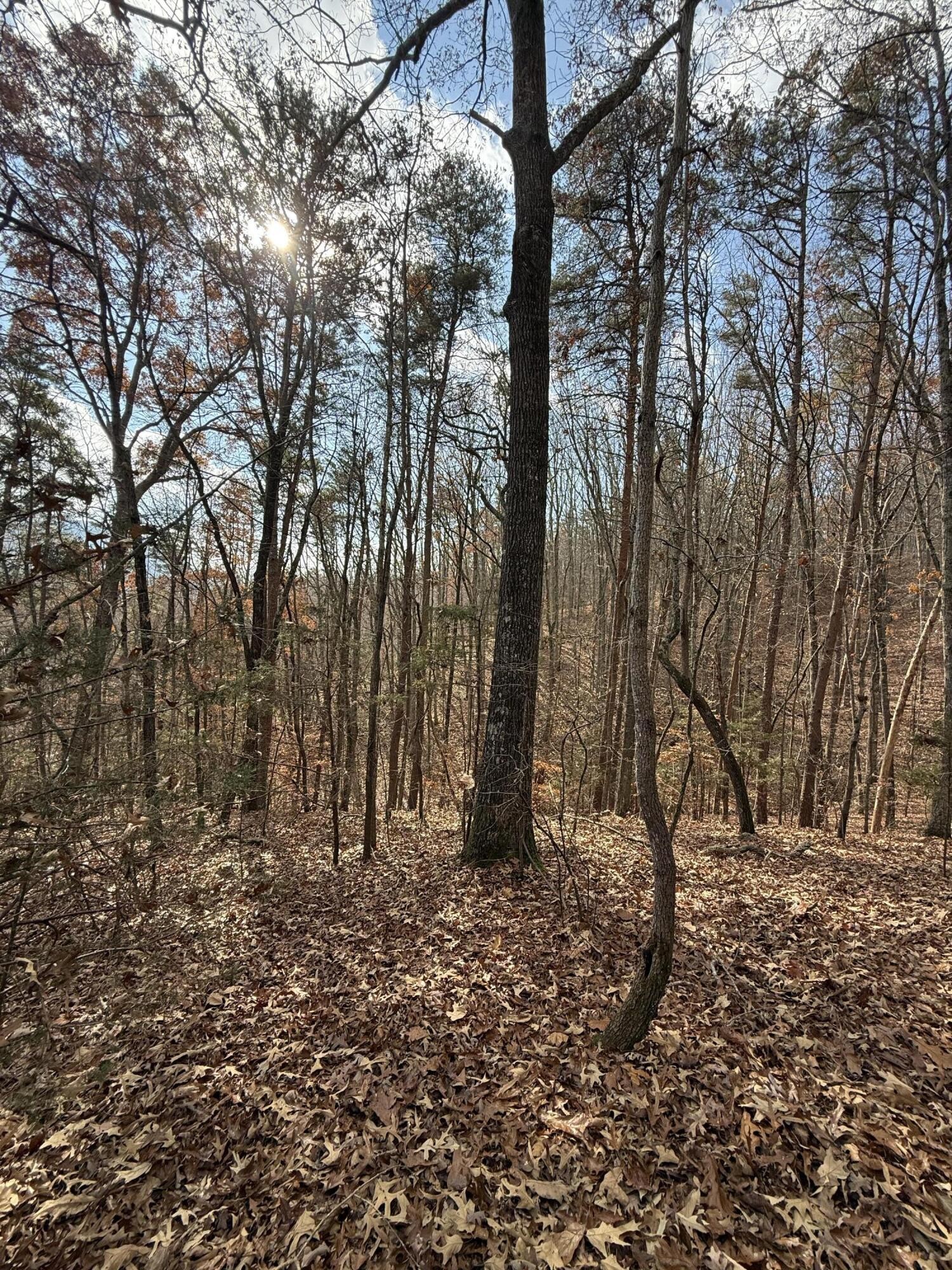 1 Parksville Road Property Photo 12