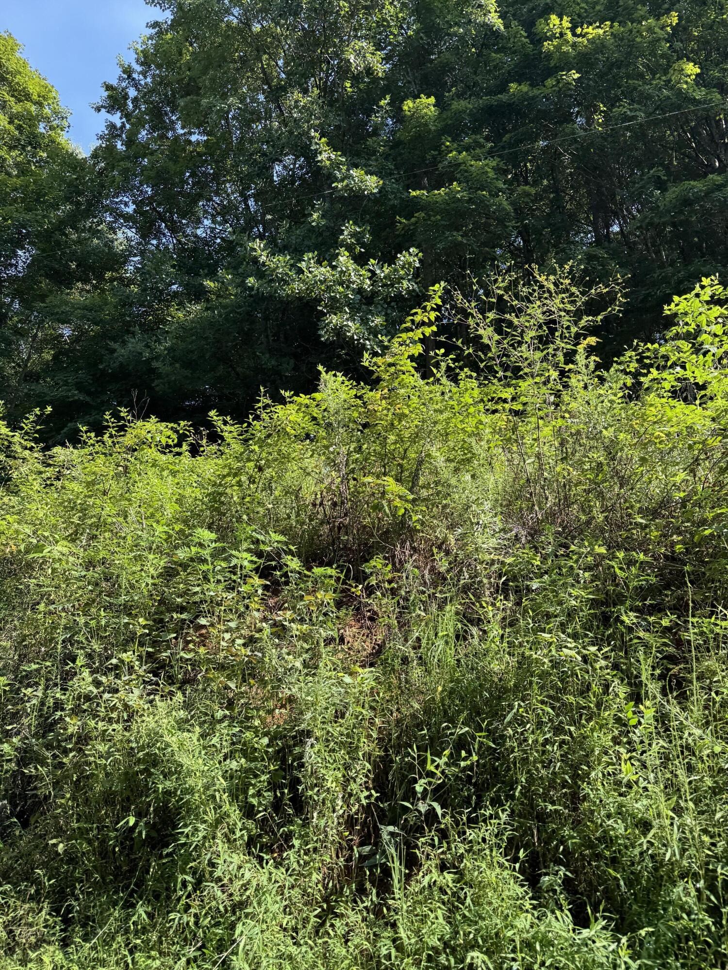 115 Hughes Hollow Road Property Photo 1