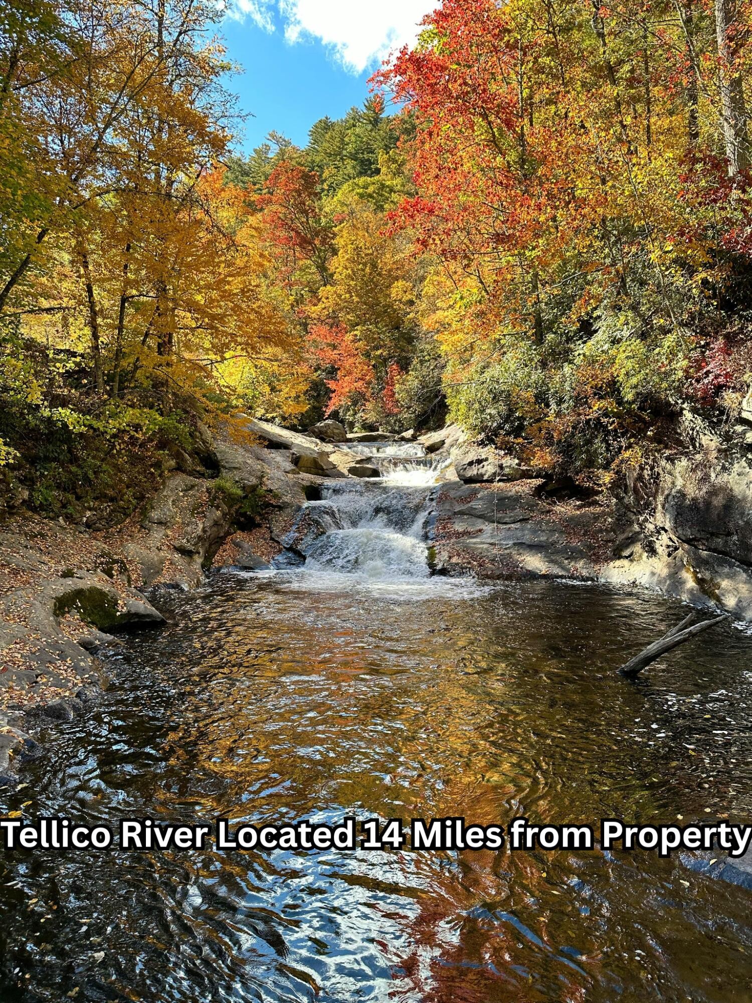 669 Pond Ridge Road Property Photo 4