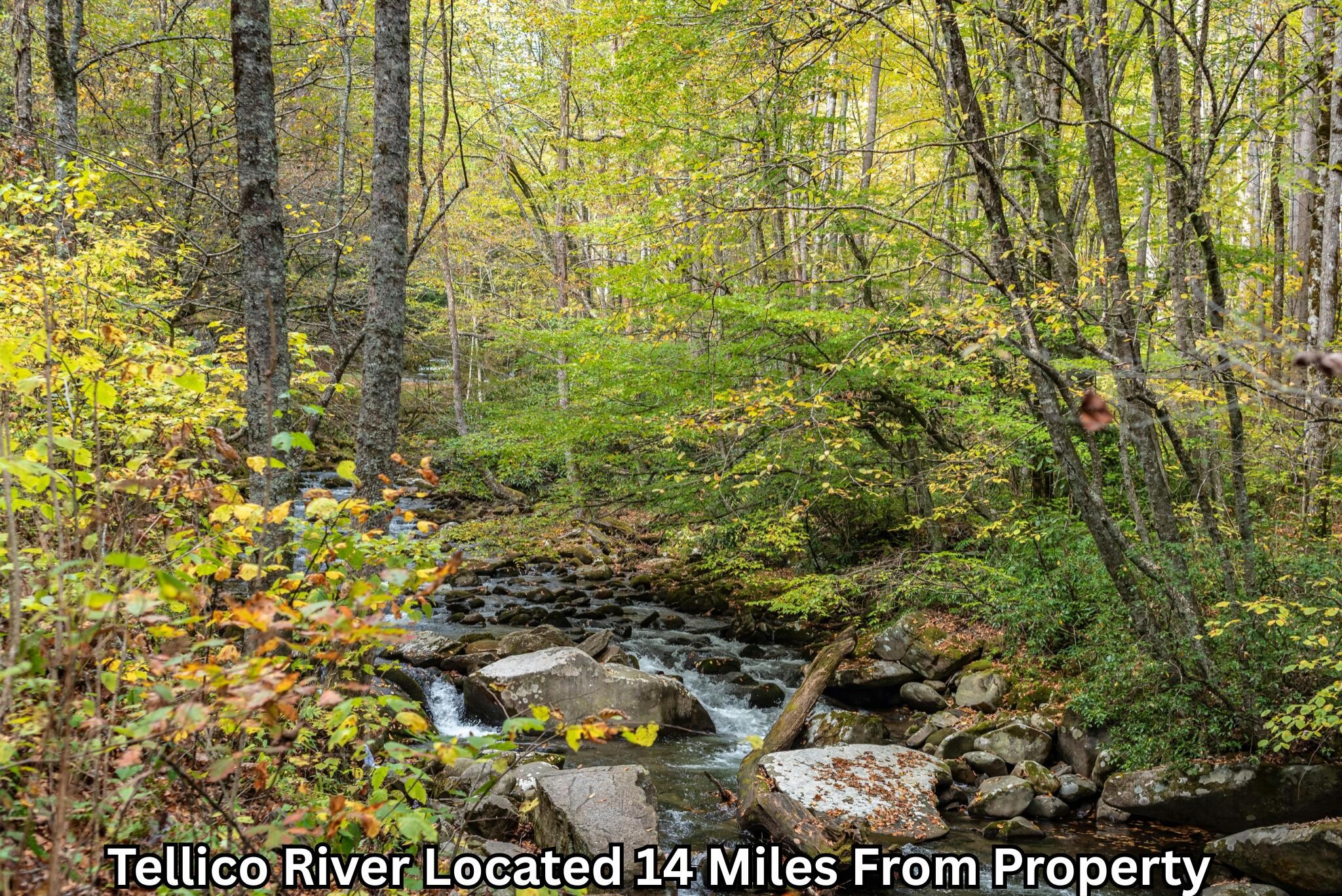 669 Pond Ridge Road Property Photo 5