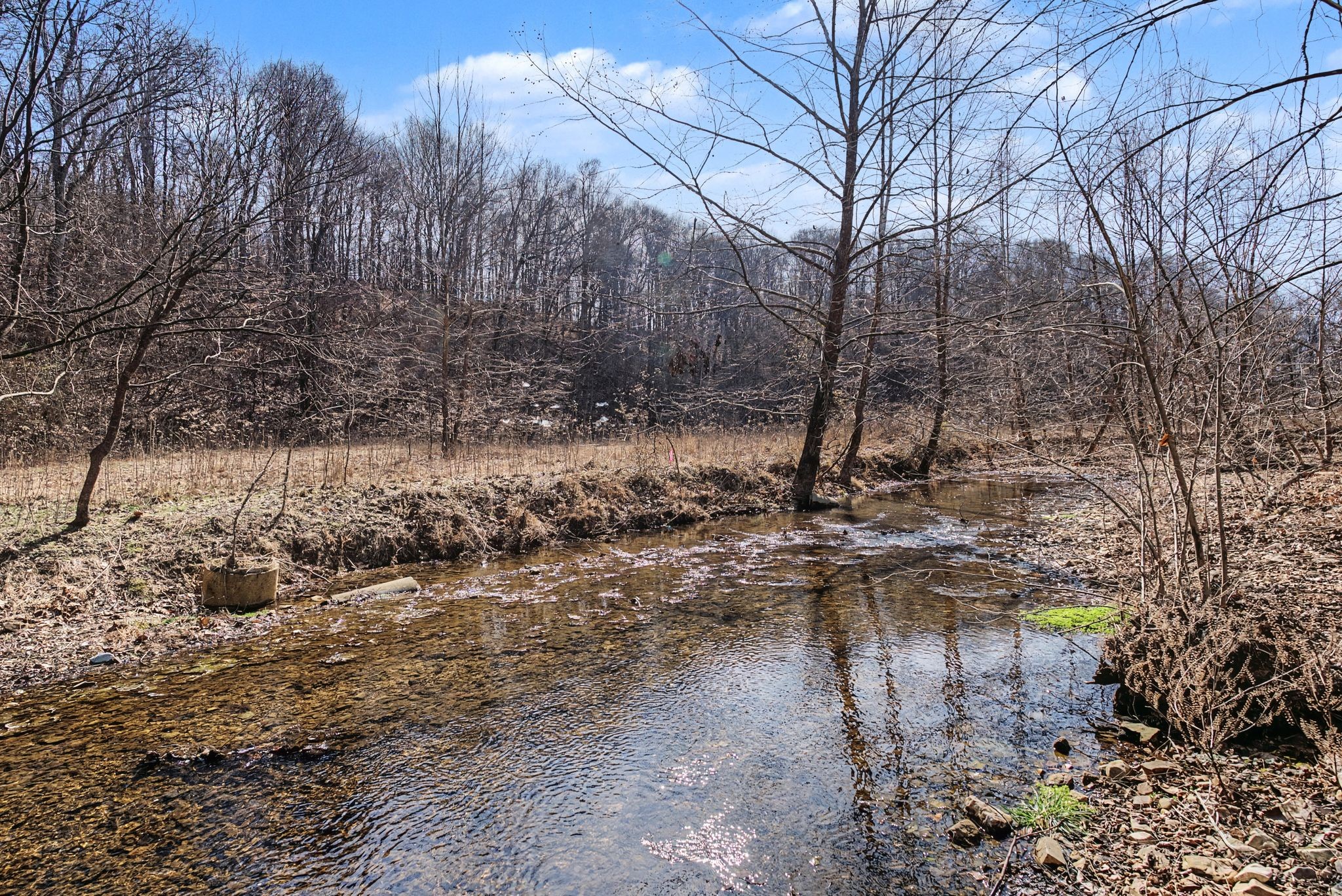 0 Ribbon Branch Road