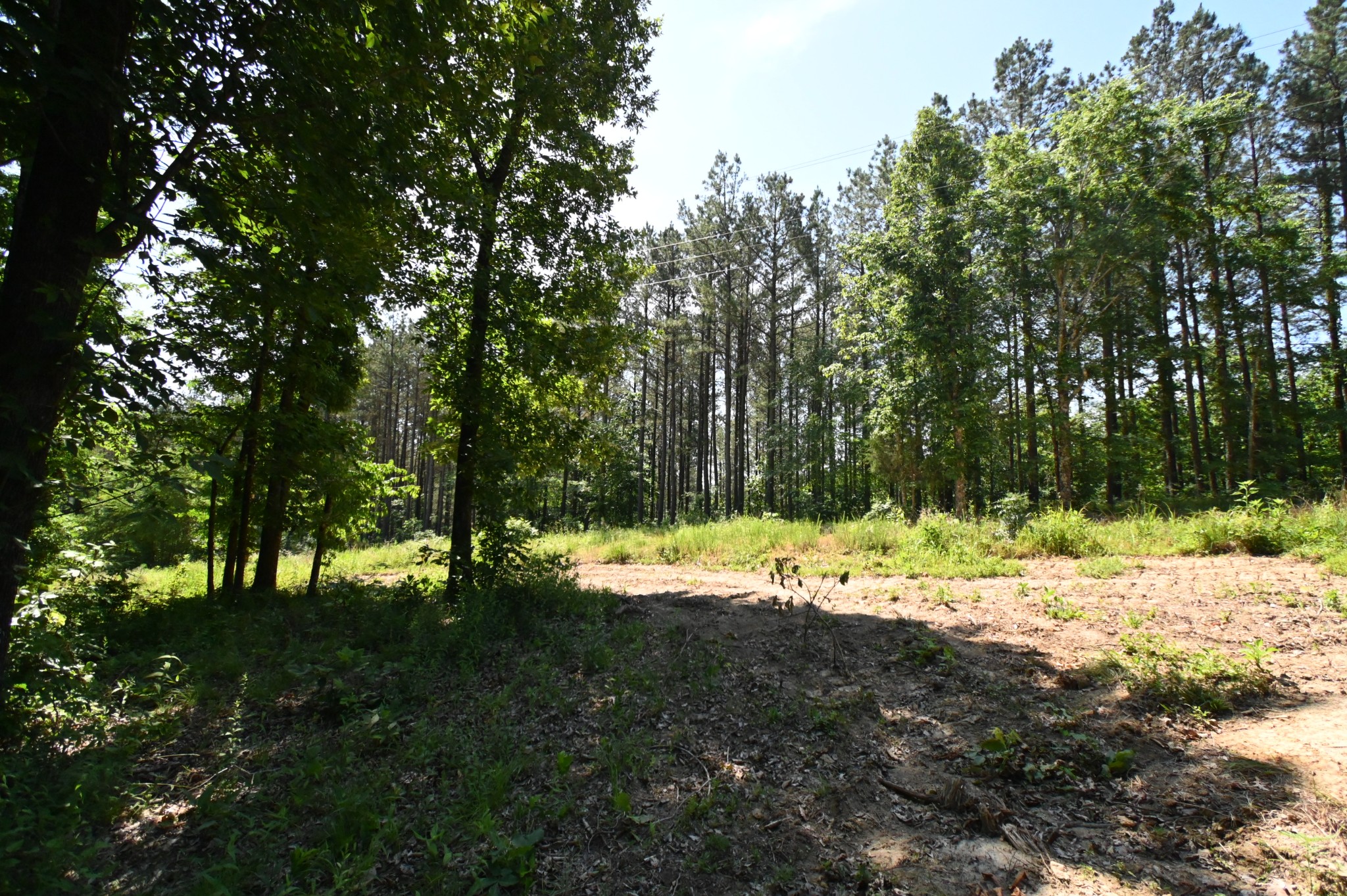 0 Bear Creek Rd Property Photo 1