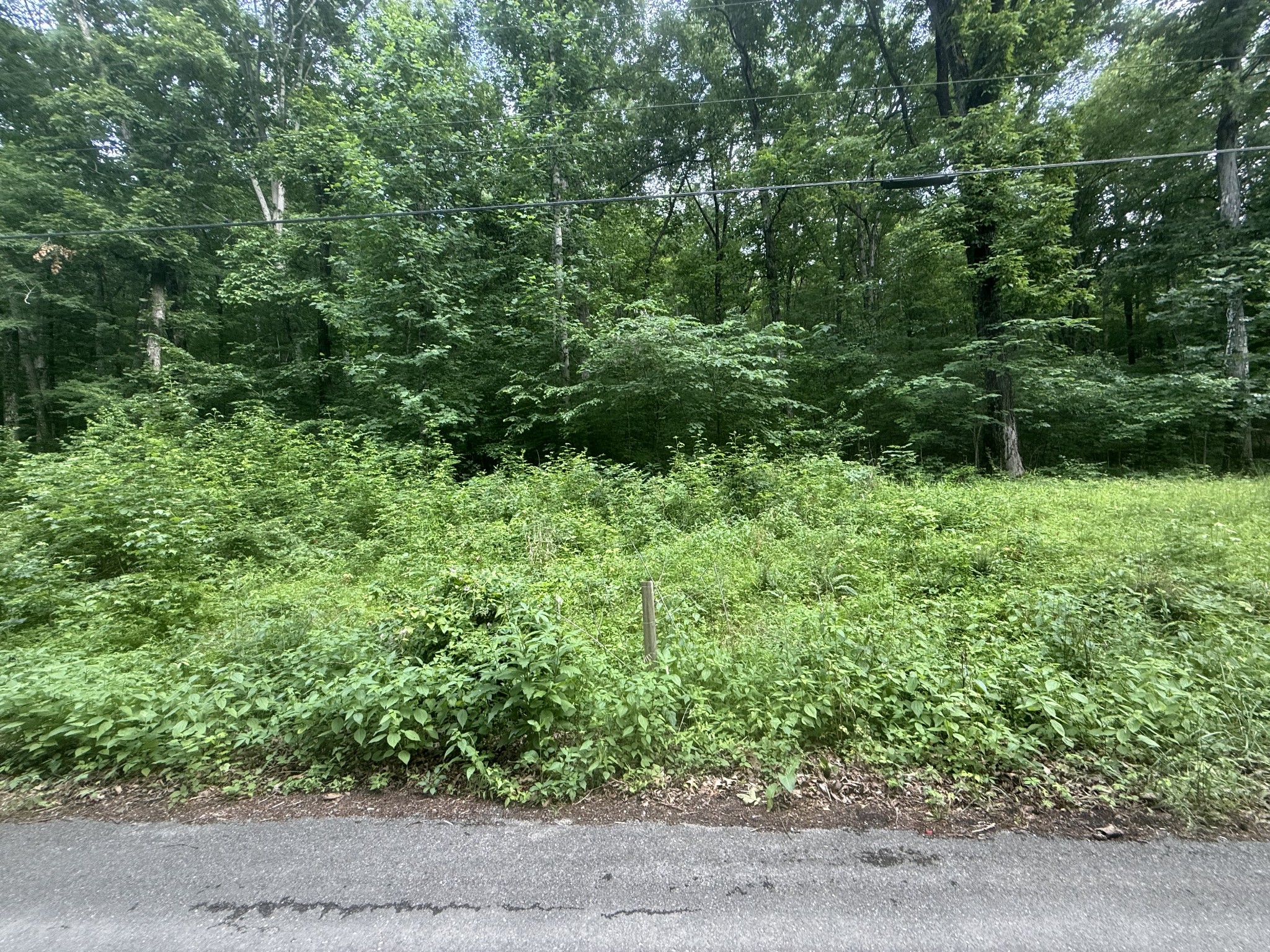 0 Caney Branch Rd Property Photo 6