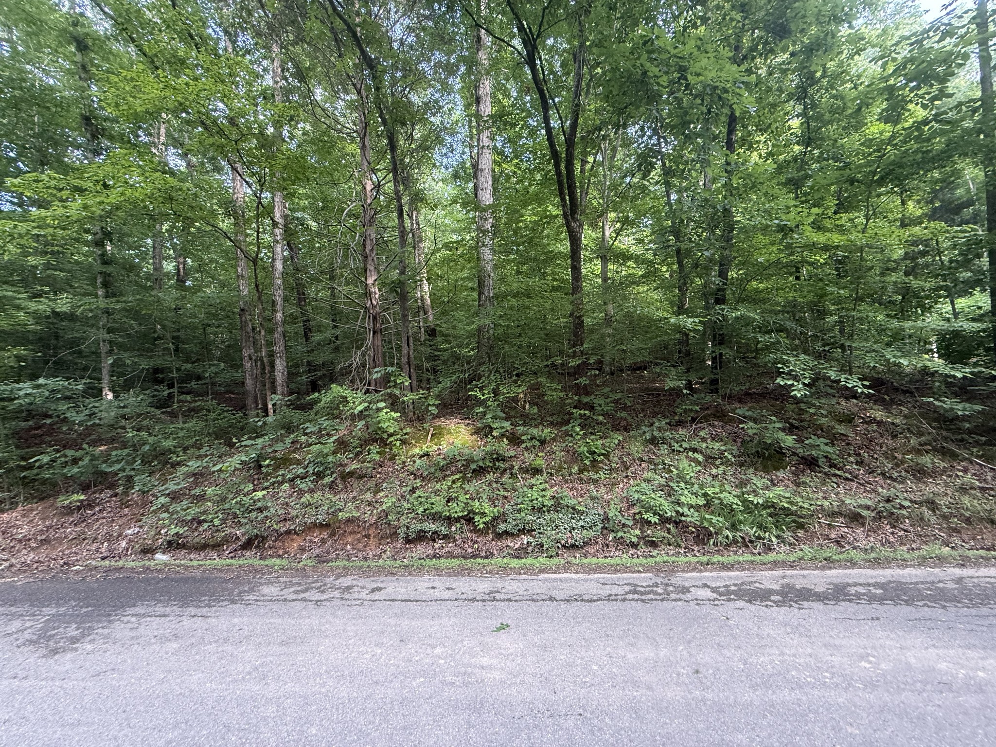 0 Caney Branch Rd Property Photo 1