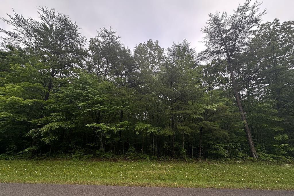 0 Cumberland Lakes Dr Property Photo 1