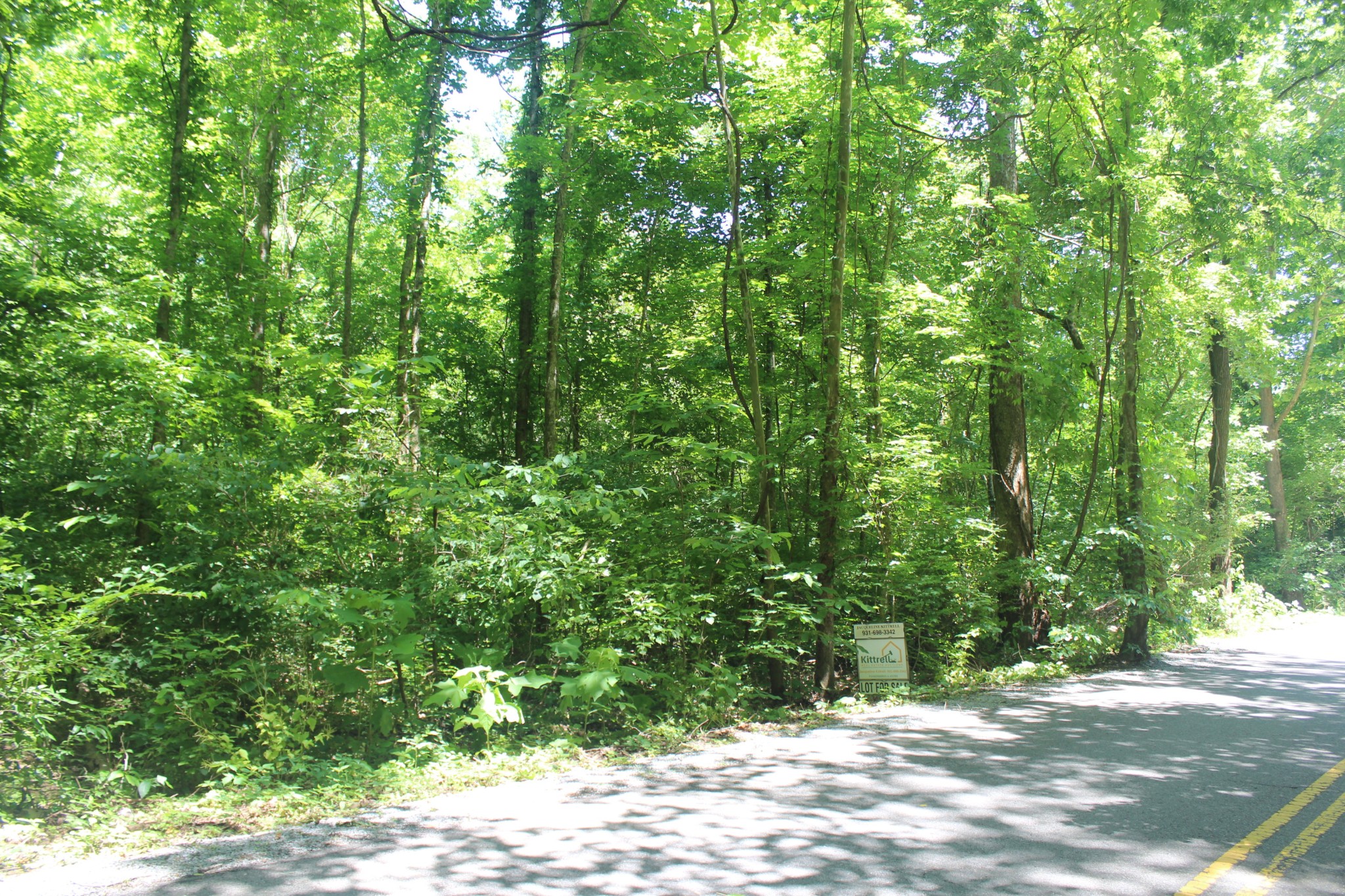 3978 Dry Fork Rd Property Photo 1