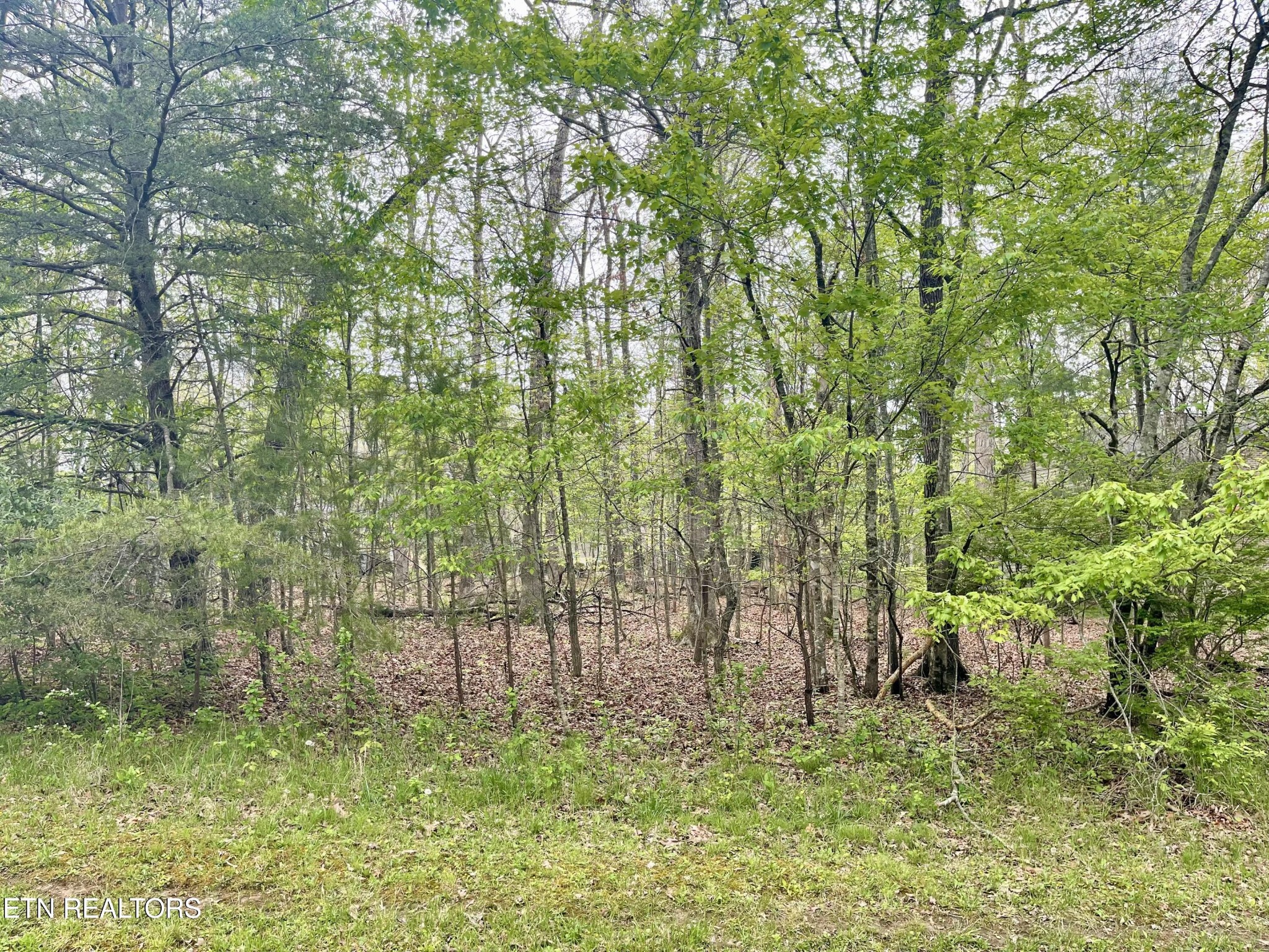 111 Rutgers Circle Property Photo 1