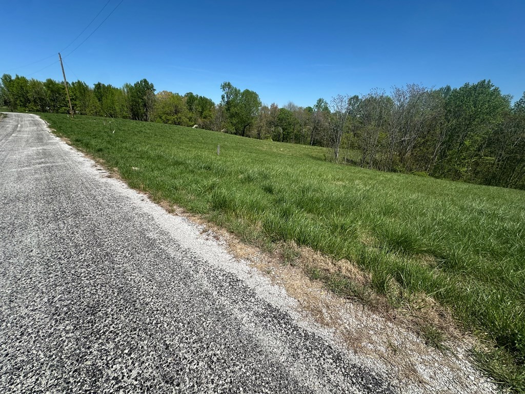 0 H O Allison Property Photo 4