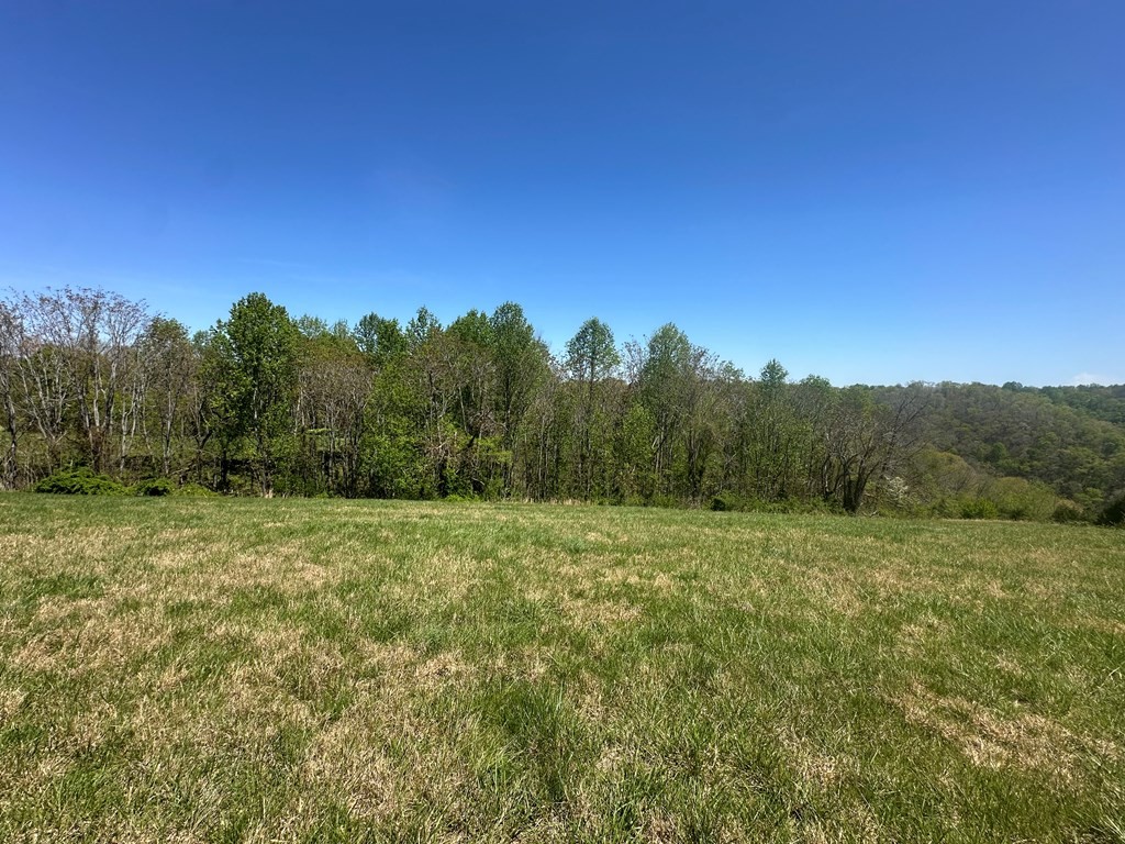 0 H O Allison Property Photo 4