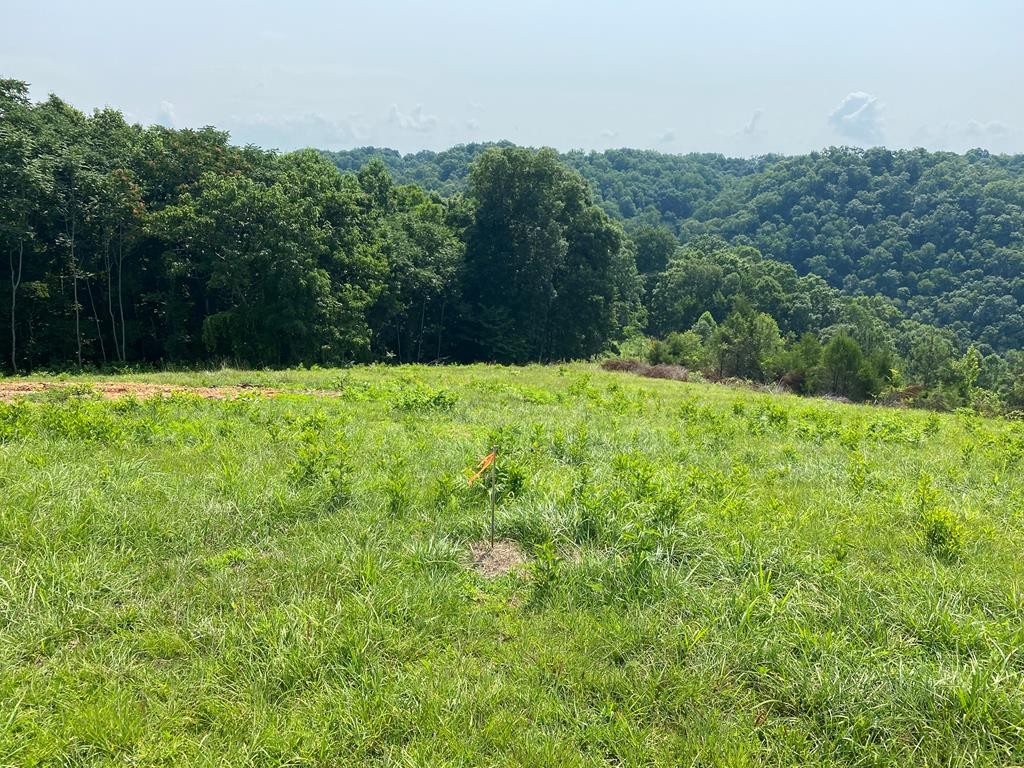 0 H O Allison Property Photo 1