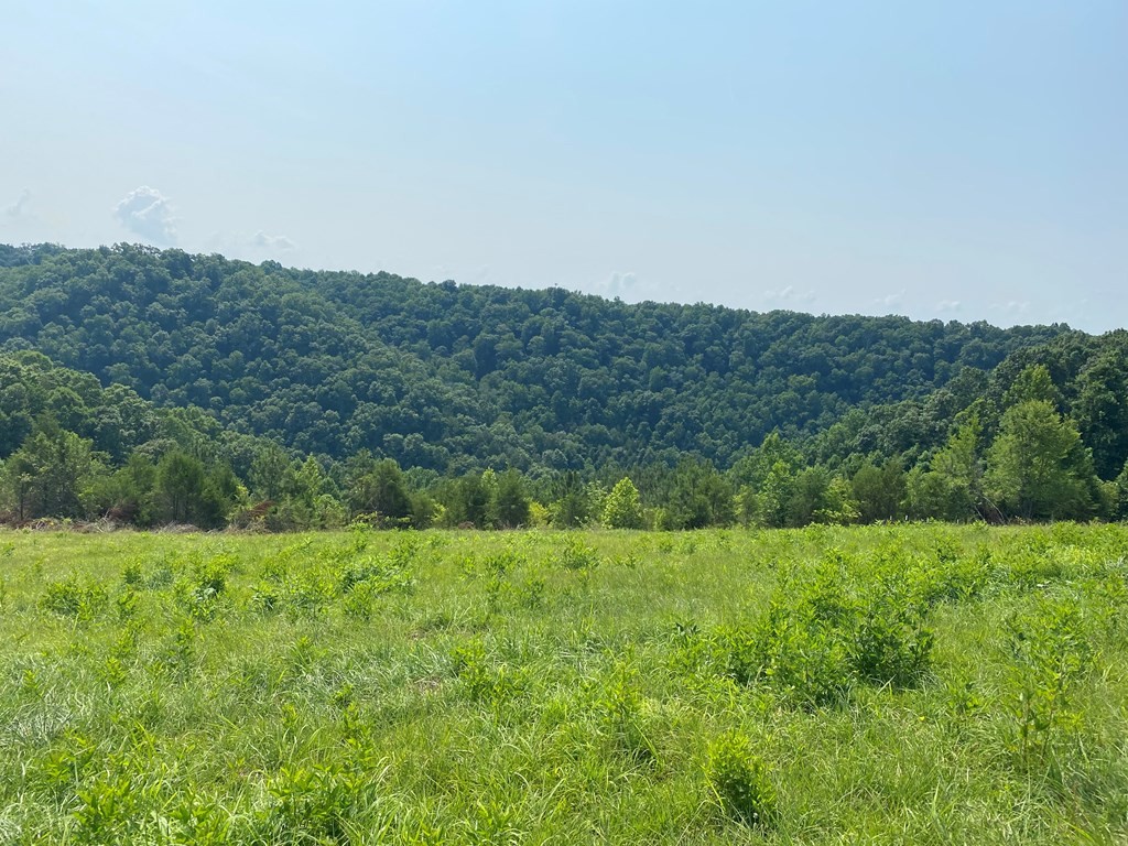 0 H O Allison Property Photo 3