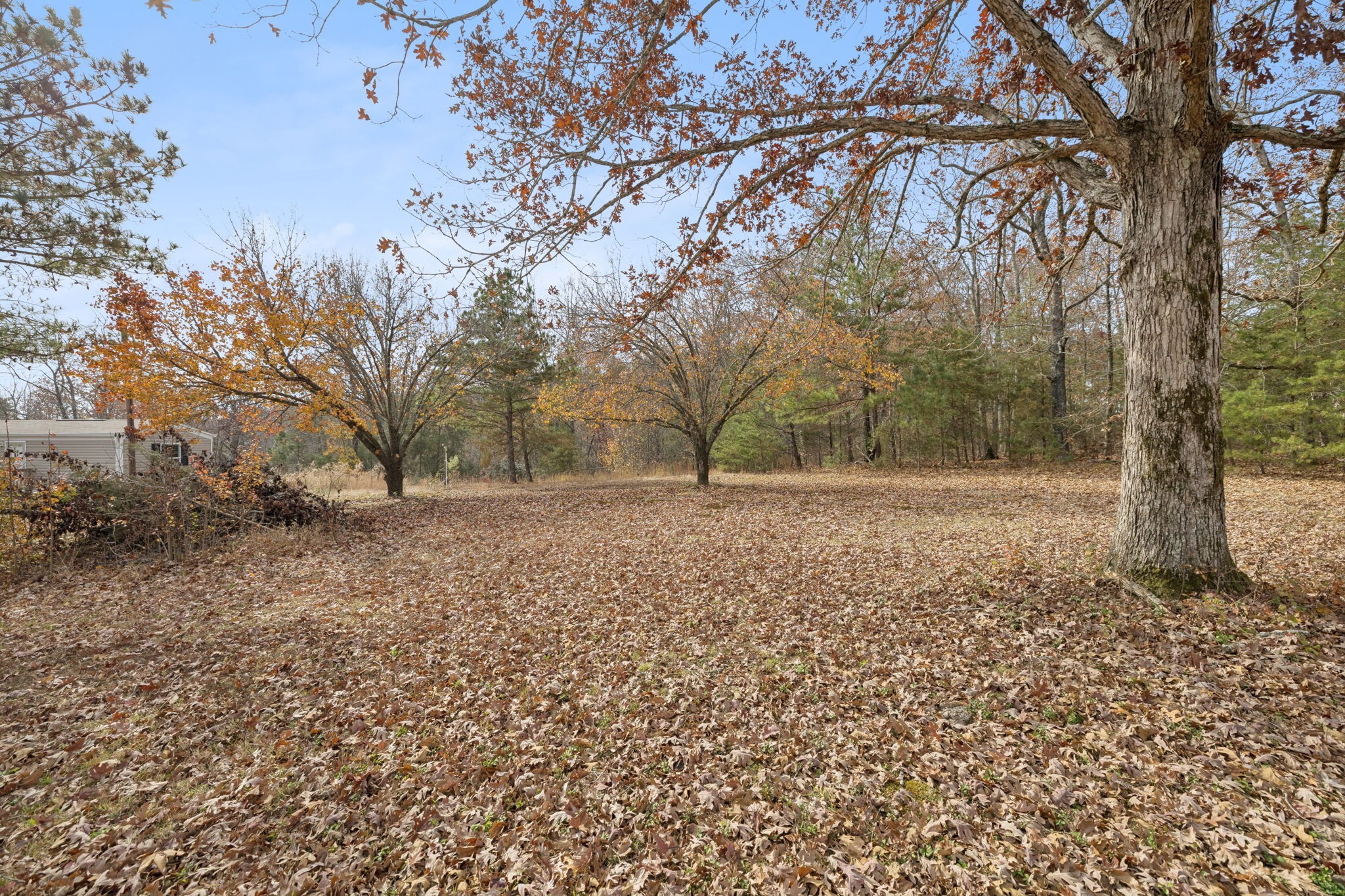 108 Lyell Rd Property Photo 22