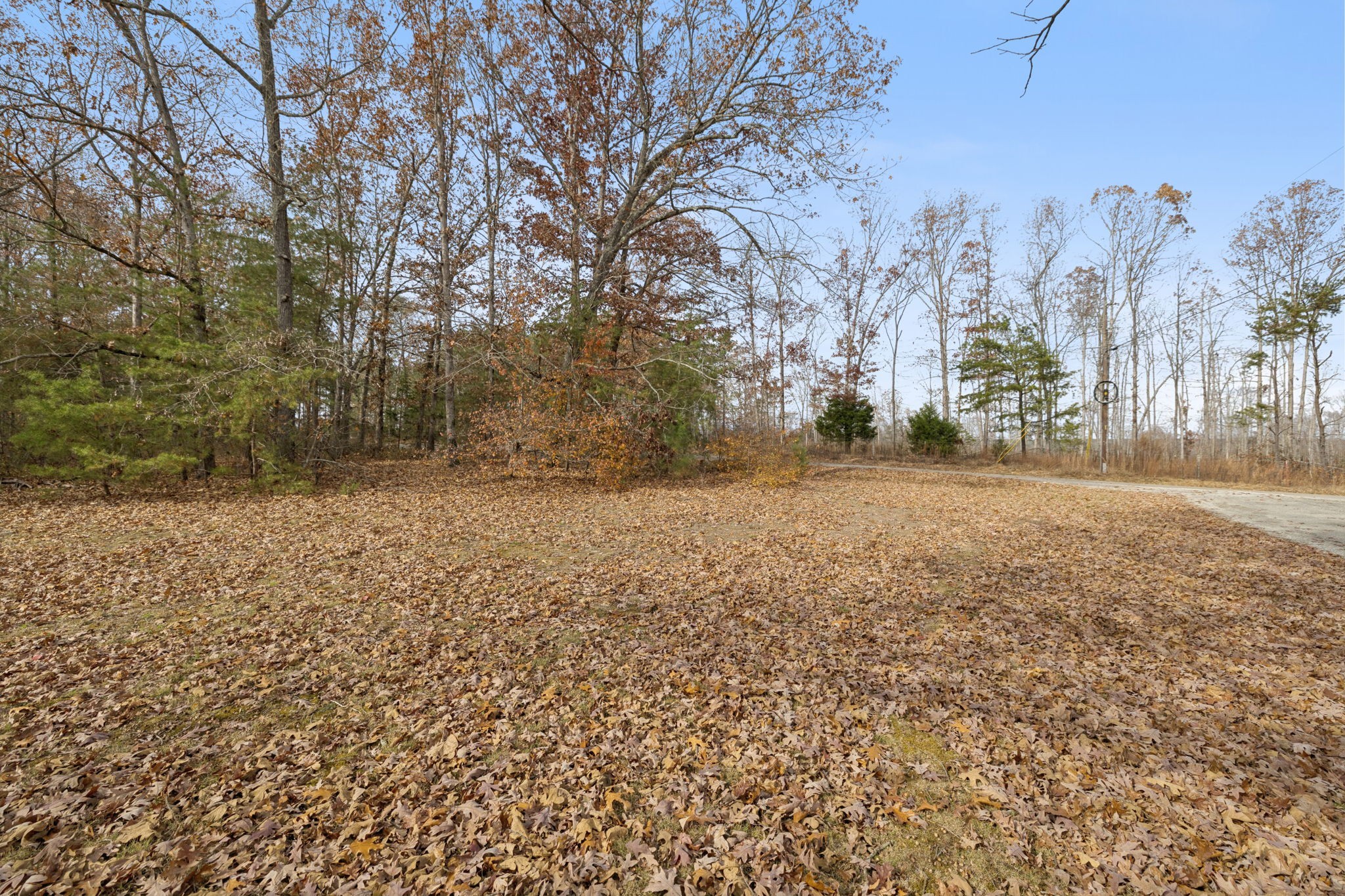 108 Lyell Rd Property Photo 24
