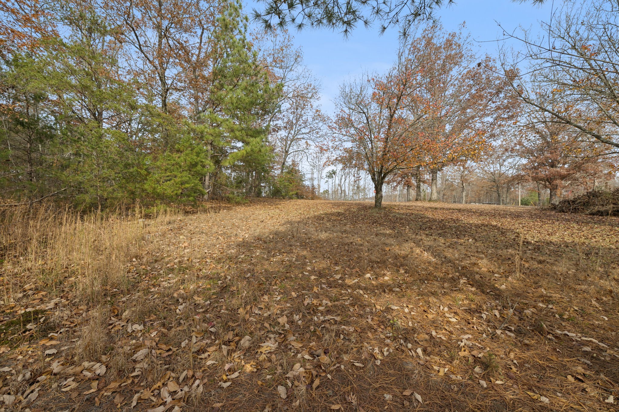 108 Lyell Rd Property Photo 26