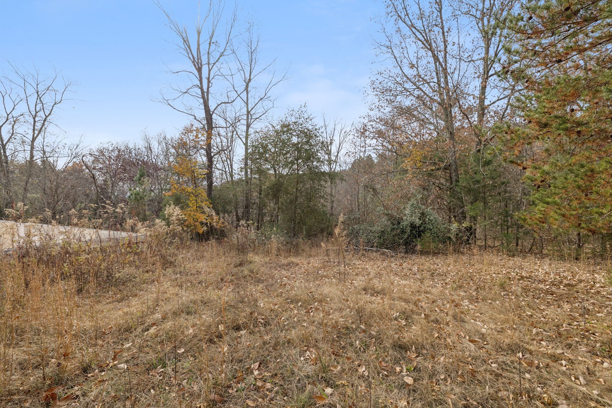108 Lyell Rd Property Photo 27