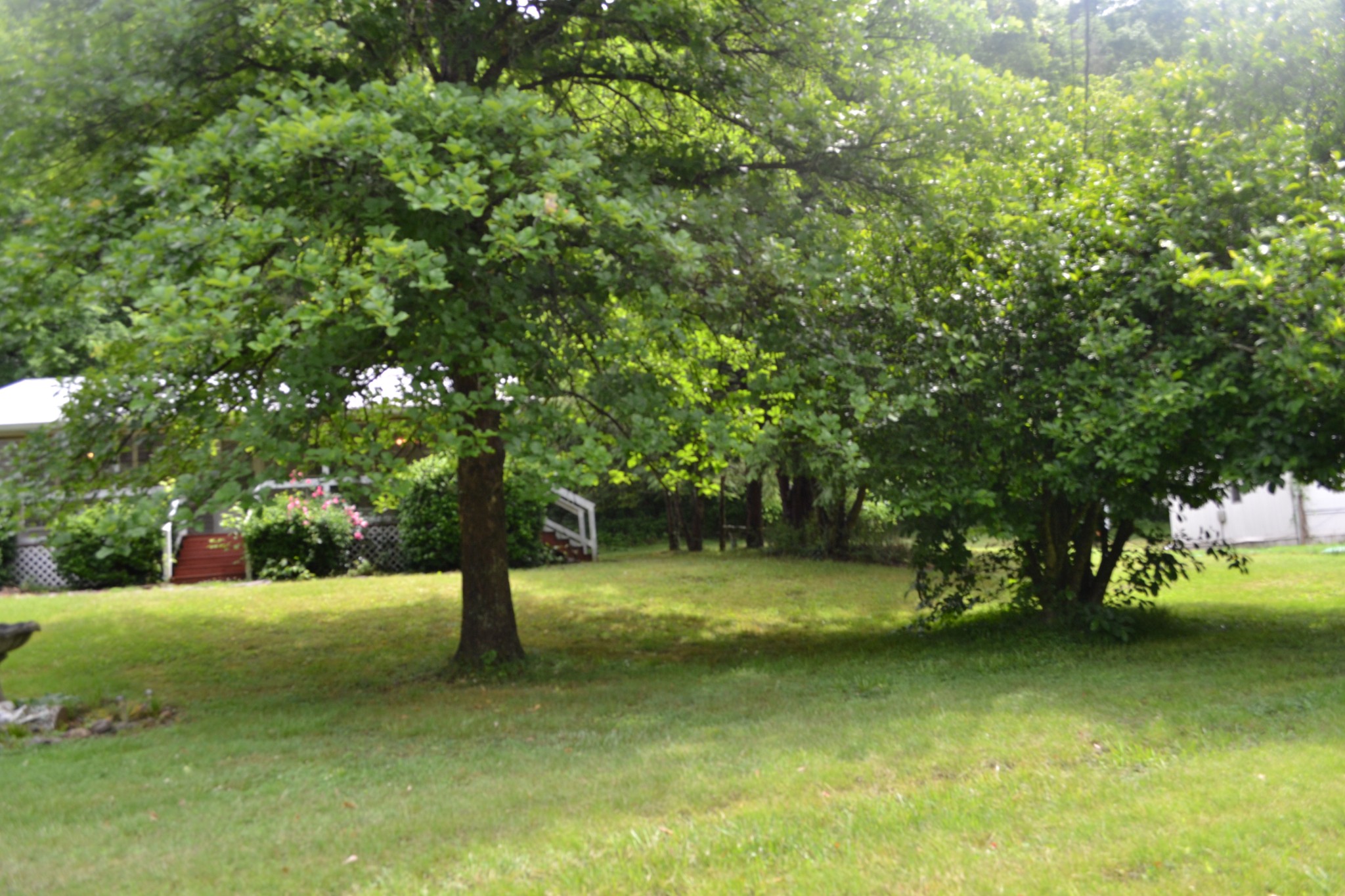 1505 Add Stafford Rd Property Photo 46