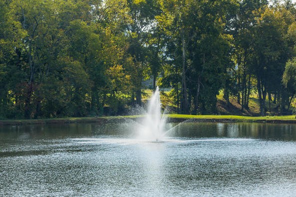 139 Blue Jay Parkway Property Photo 39