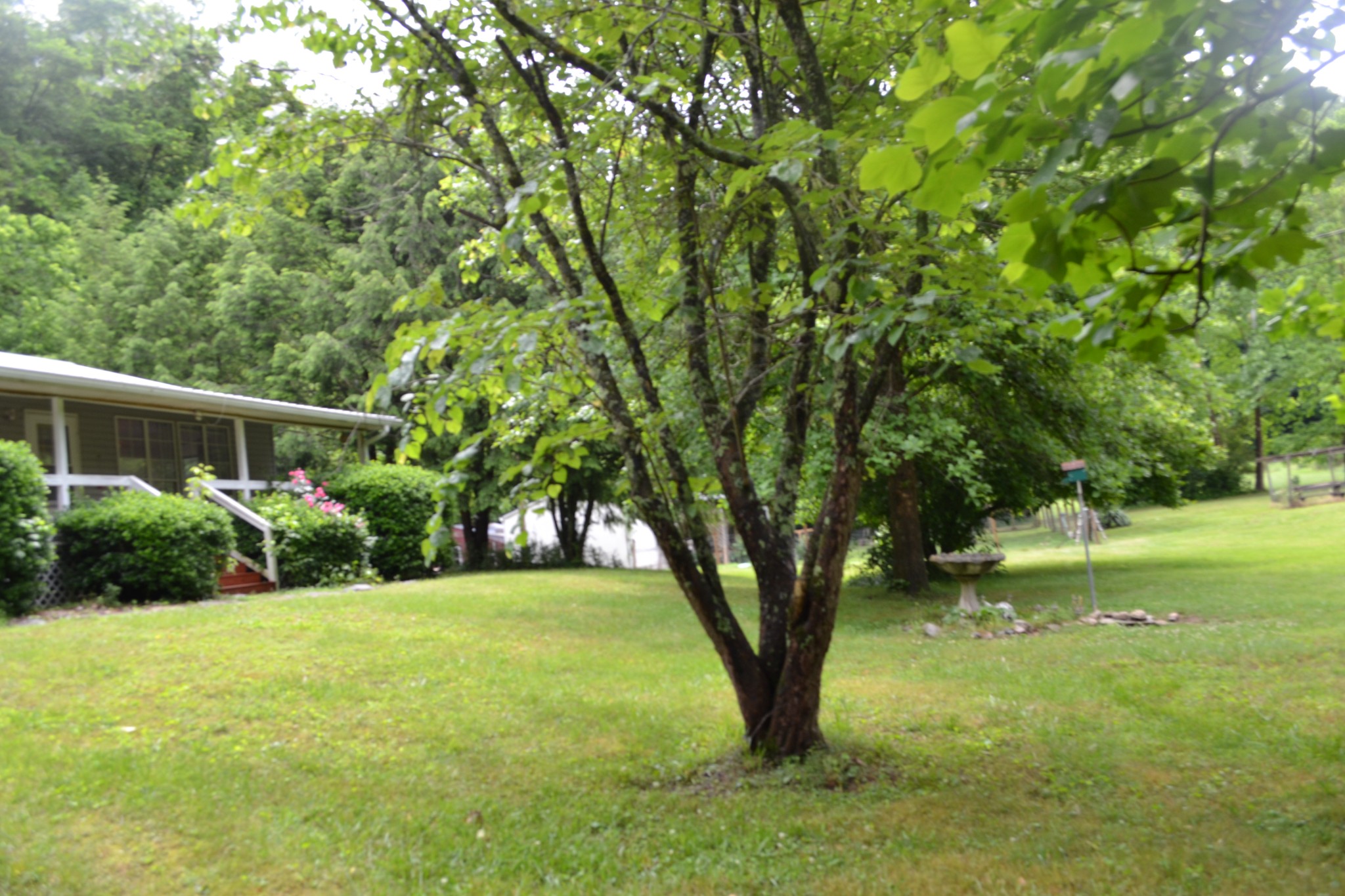 1557 Add Stafford Rd Property Photo 27