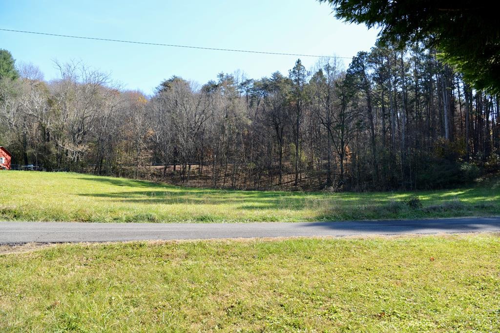 177 S Pine Street Property Photo 1