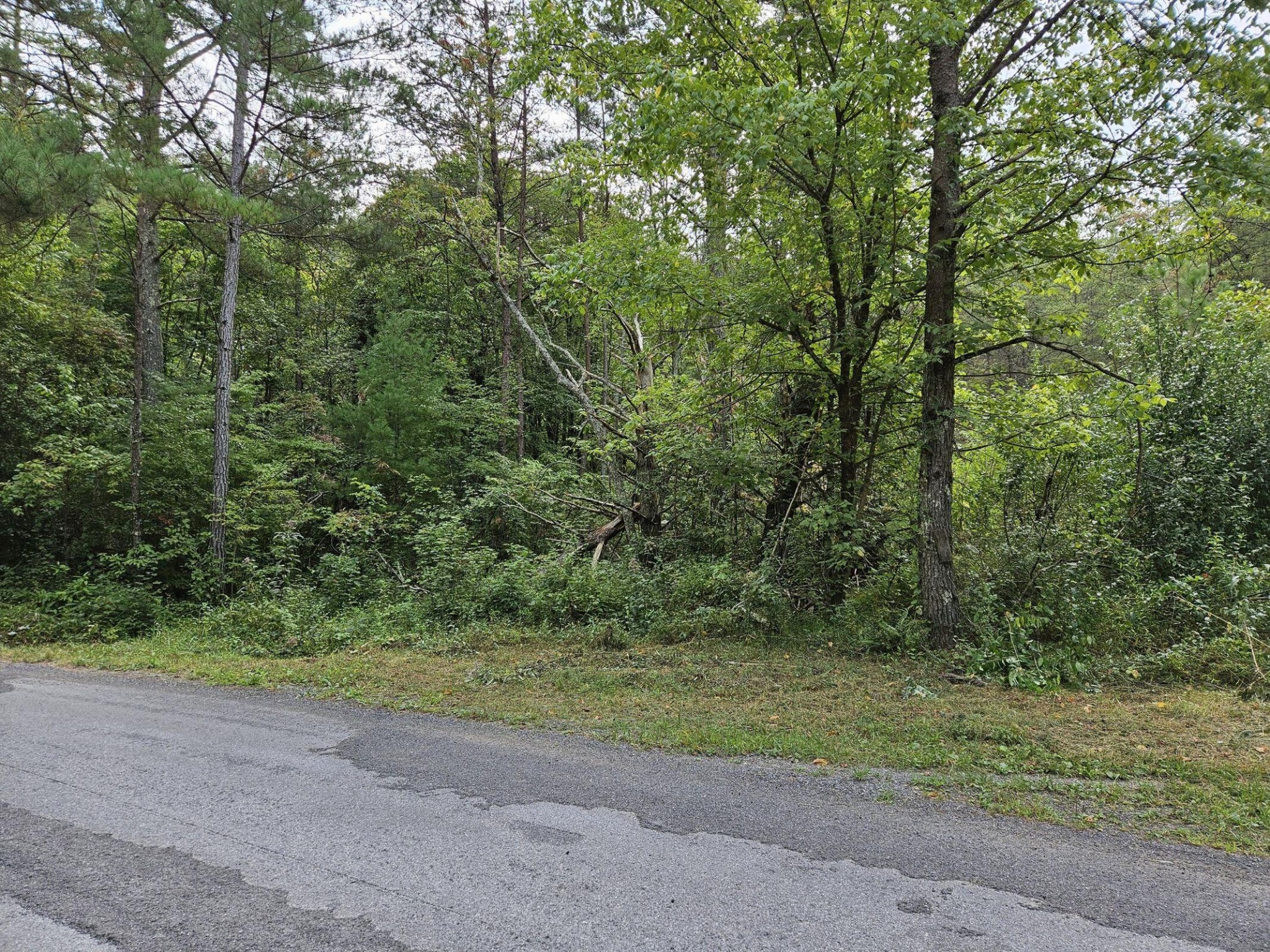32 Belaire Drive Property Photo 1